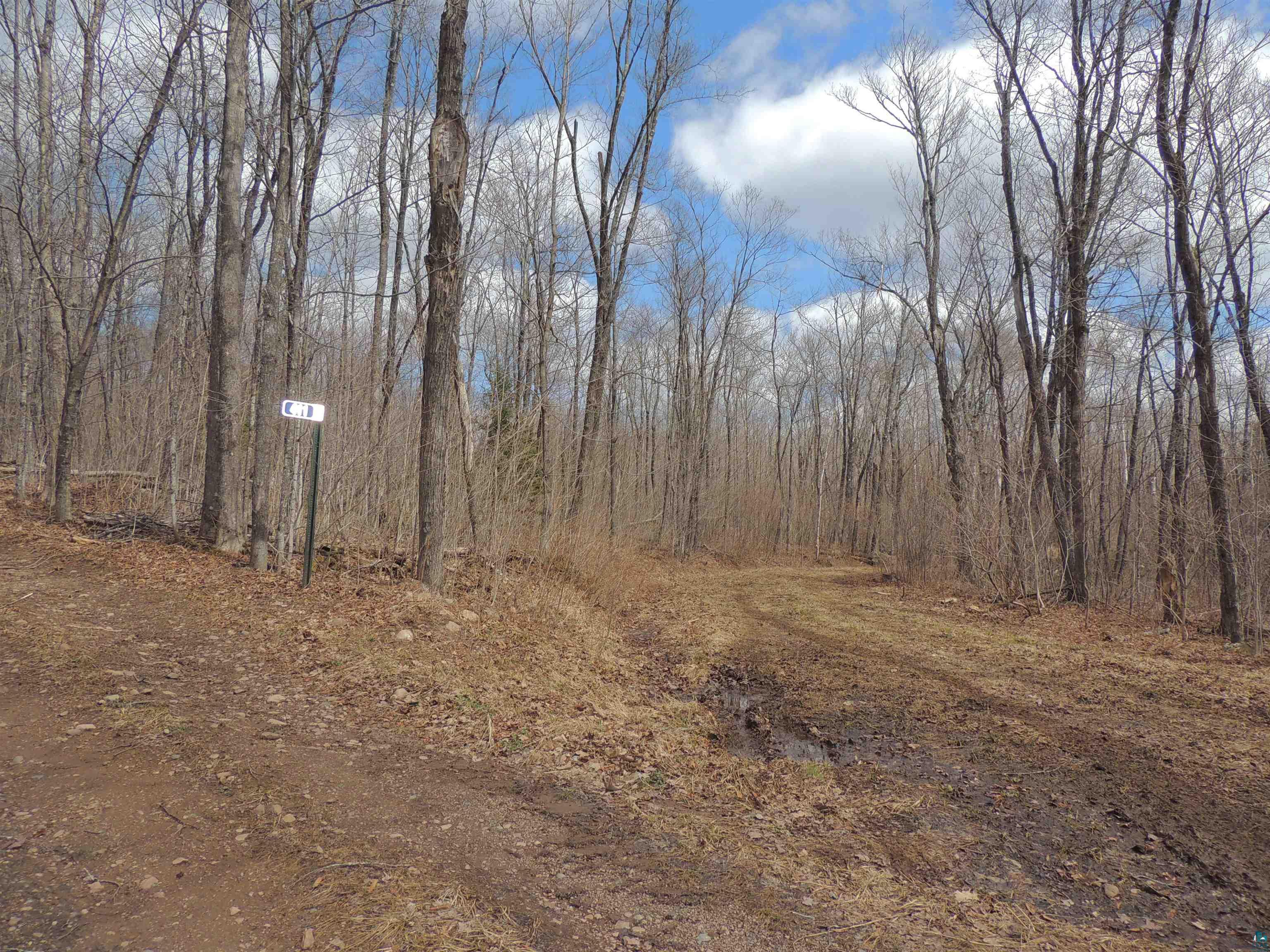 XXX Springdale Rd Tofte MN 55615 6124939 image24