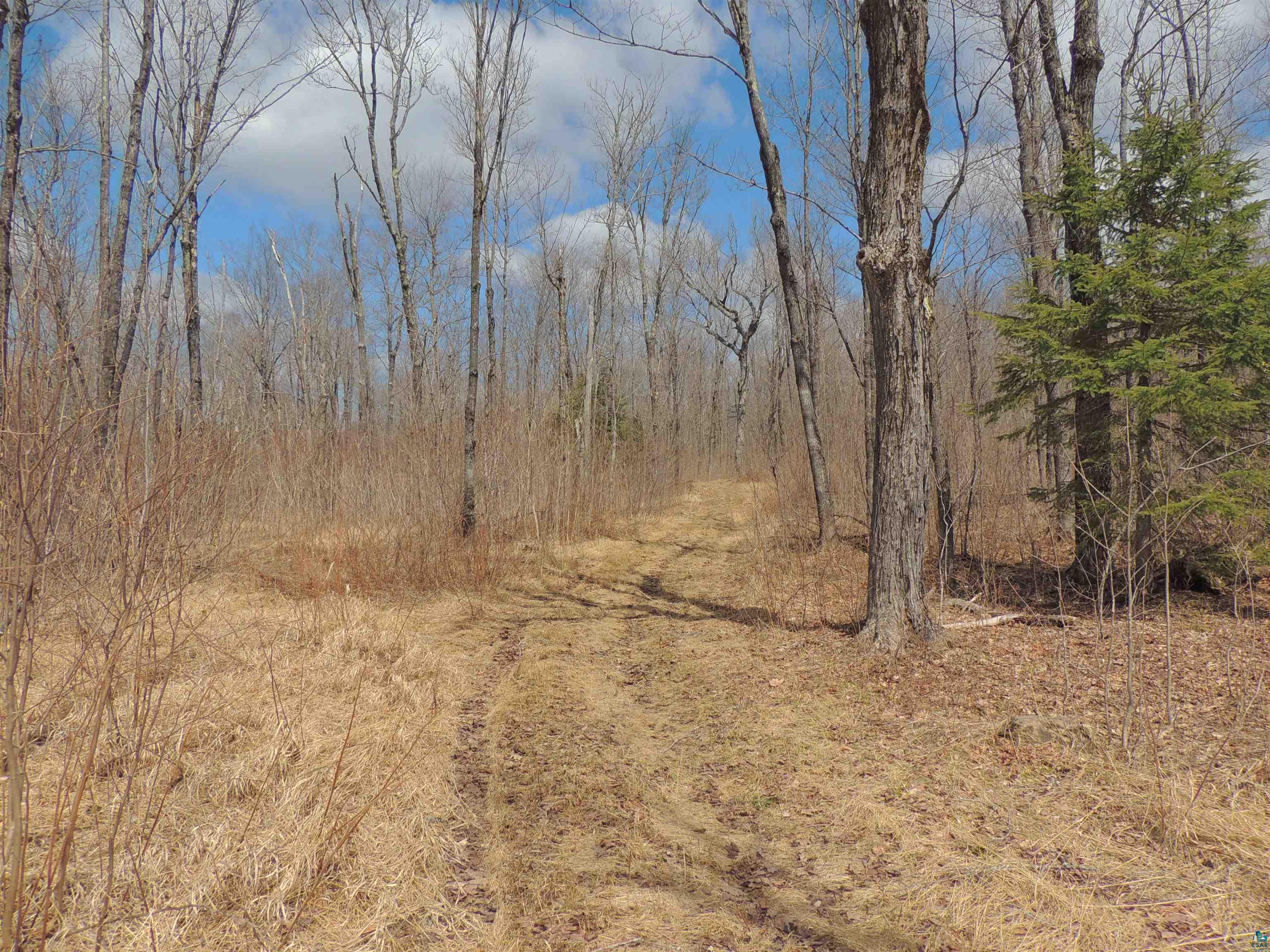 XXX Springdale Rd Tofte MN 55615 6124939 image25