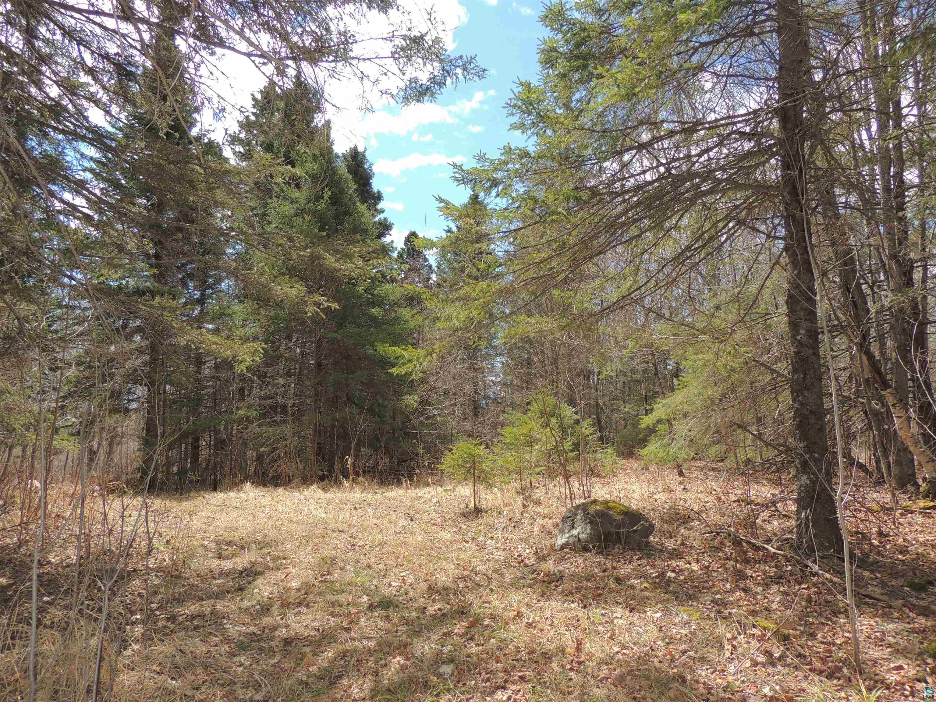 XXX Springdale Rd Tofte MN 55615 6124939 image26