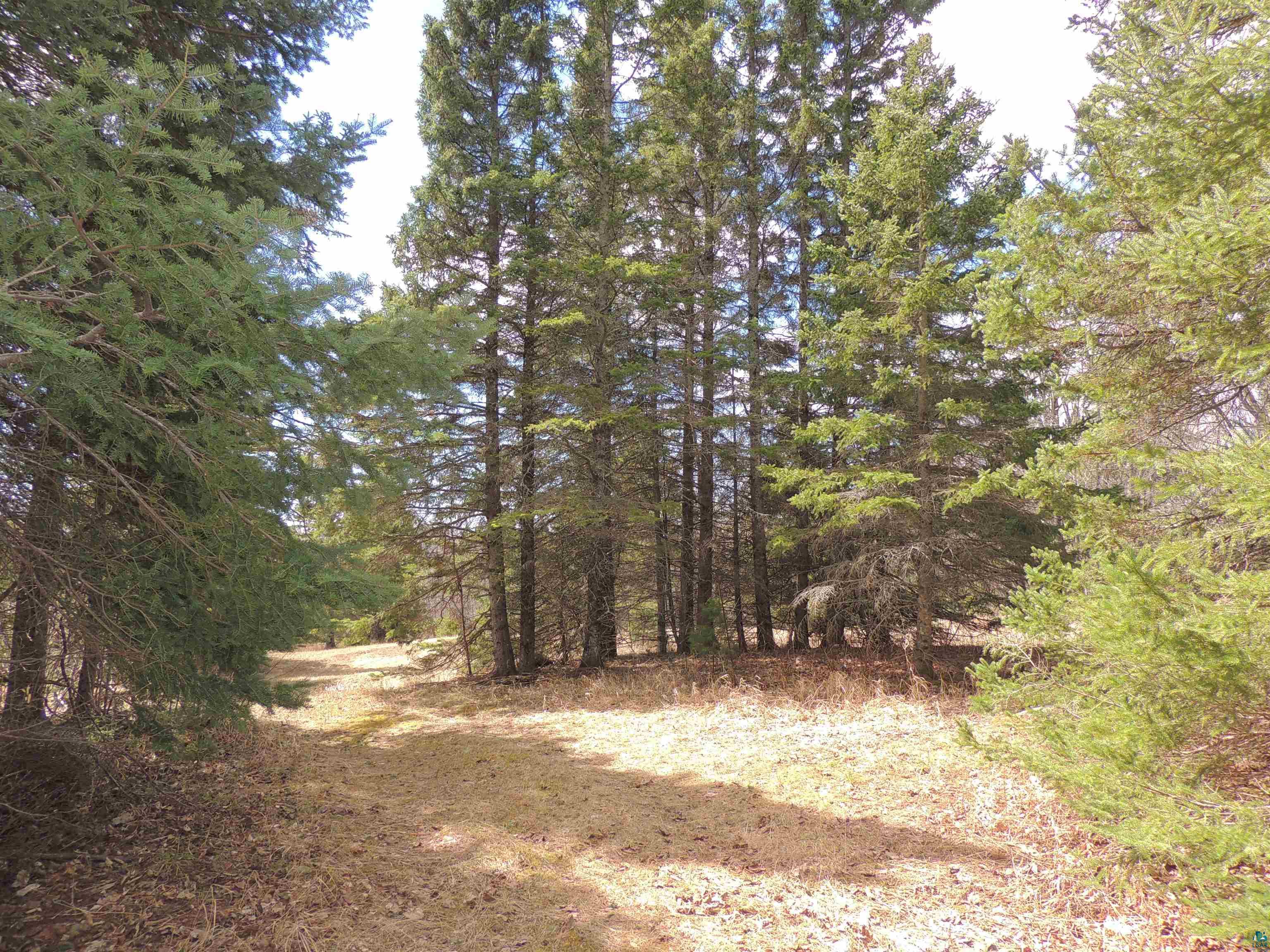 XXX Springdale Rd Tofte MN 55615 6124939 image27
