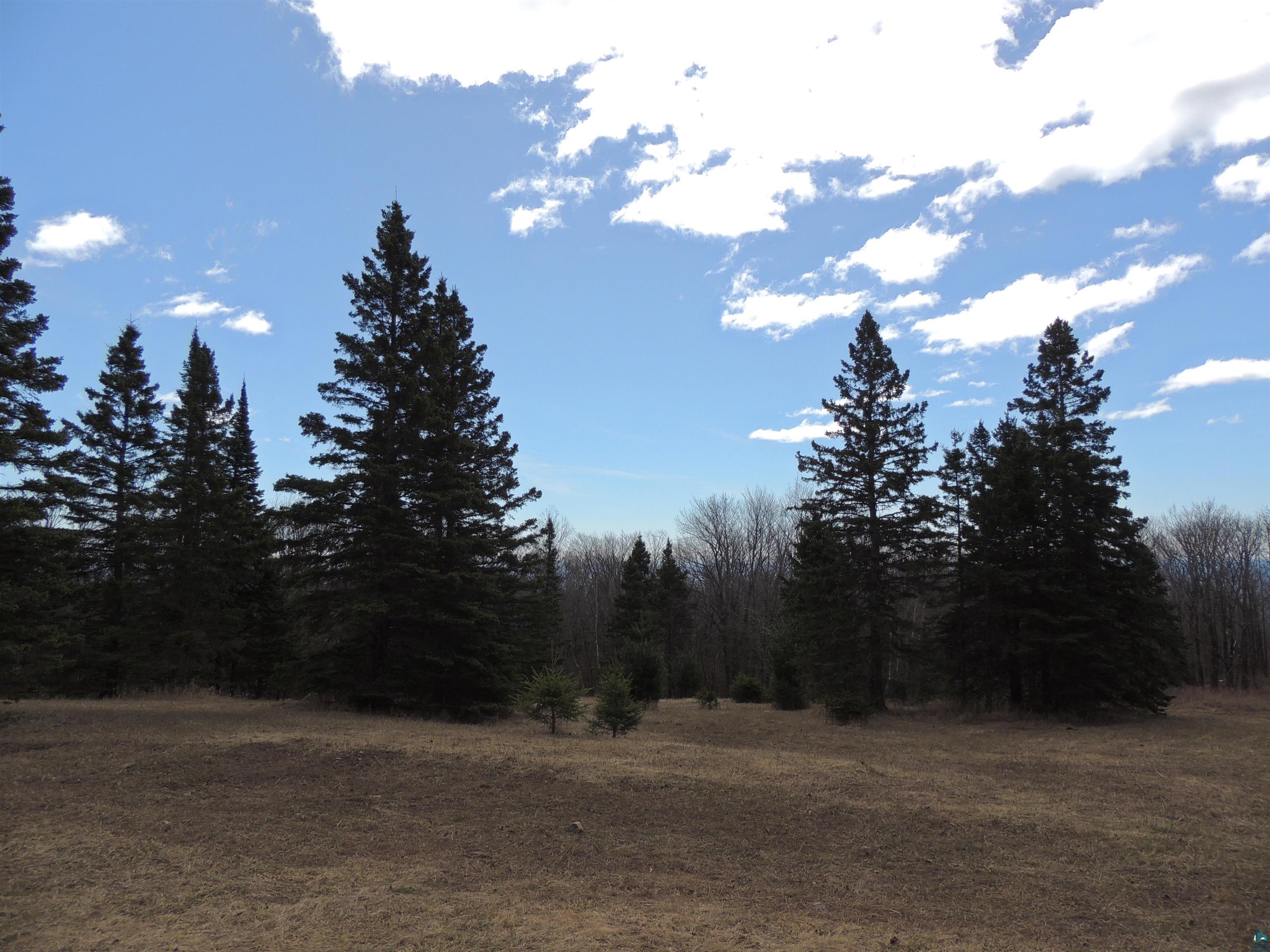 XXX Springdale Rd Tofte MN 55615 6124939 image3