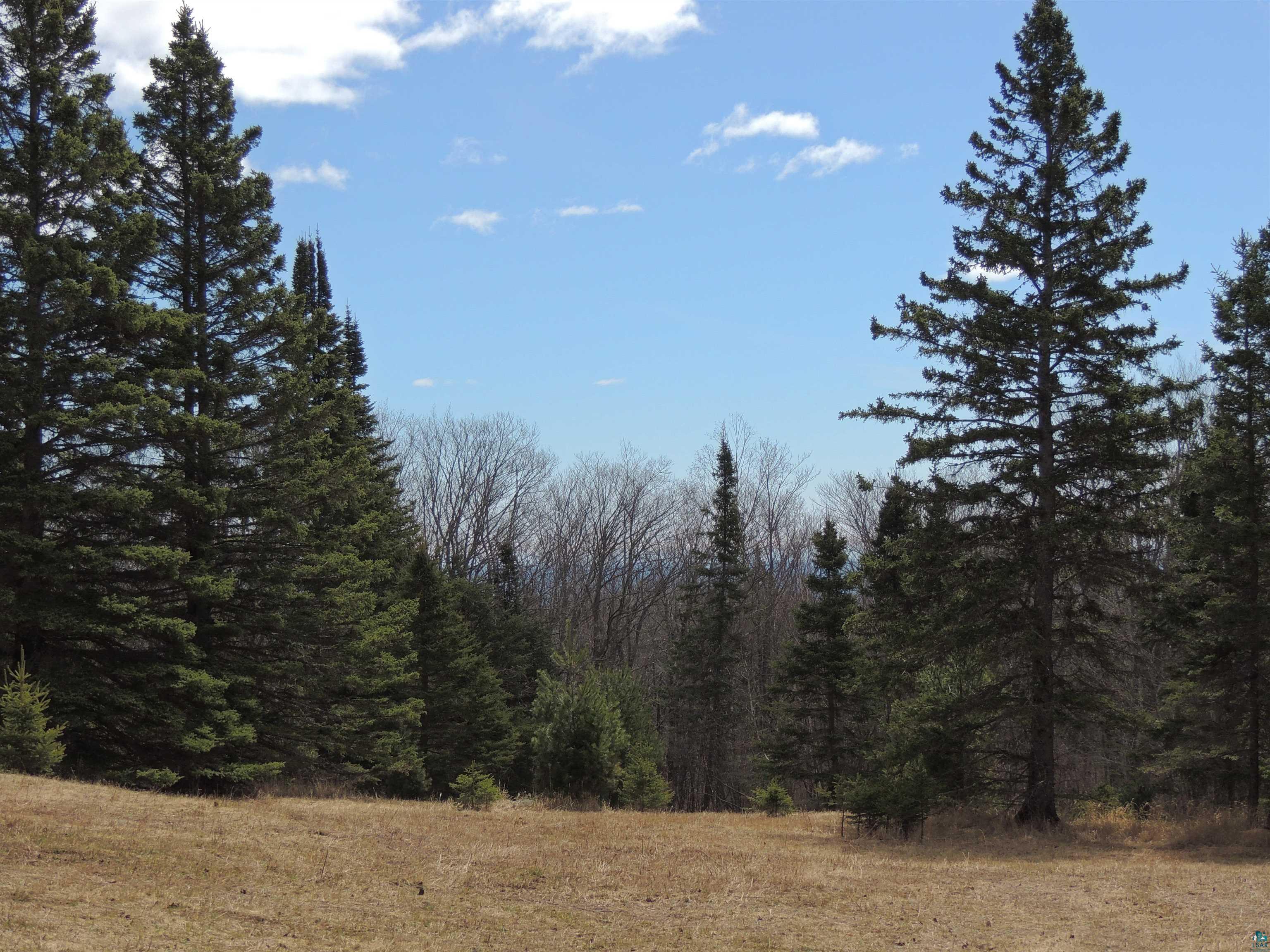 XXX Springdale Rd Tofte MN 55615 6124939 image31