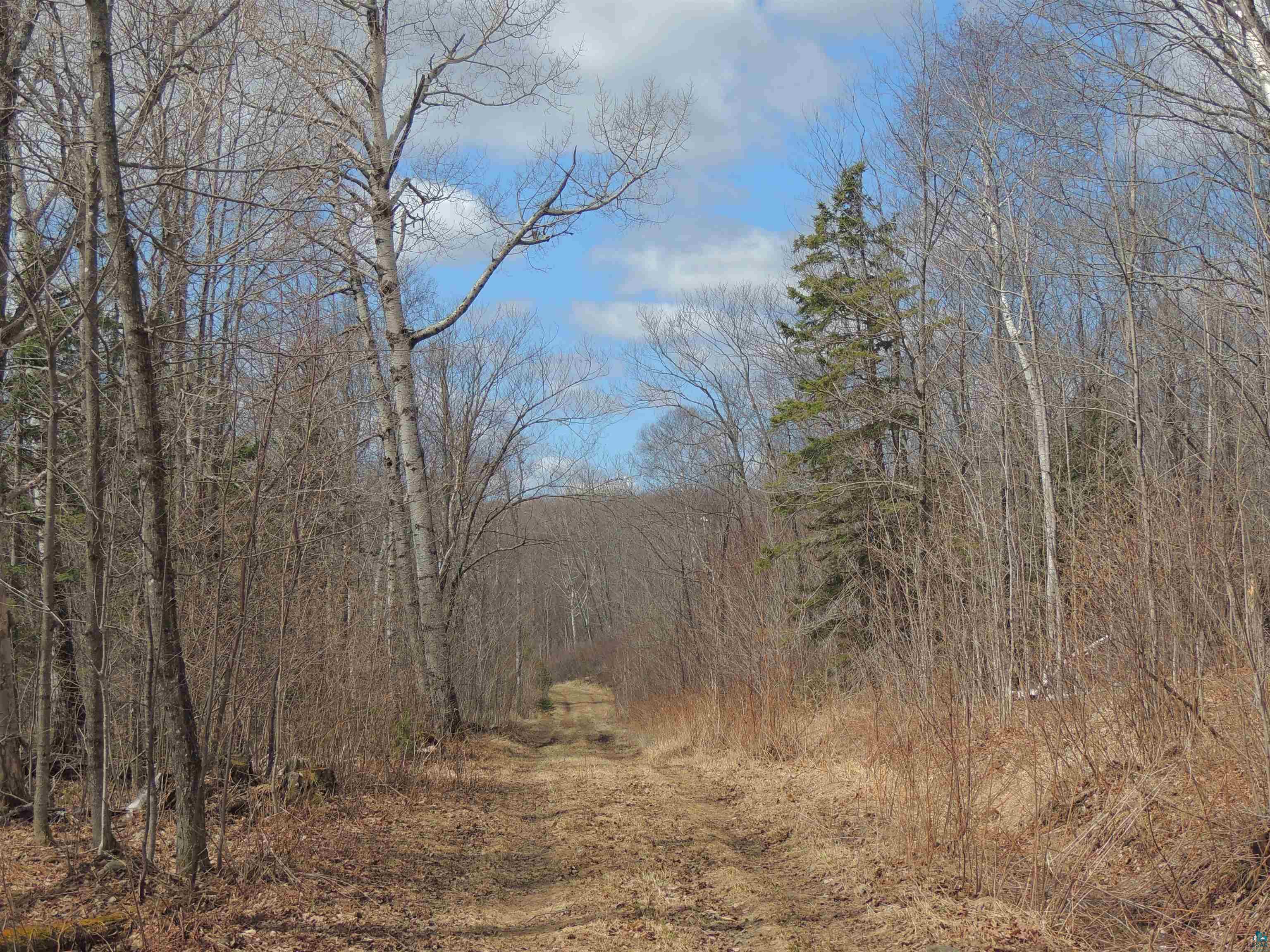 XXX Springdale Rd Tofte MN 55615 6124939 image32