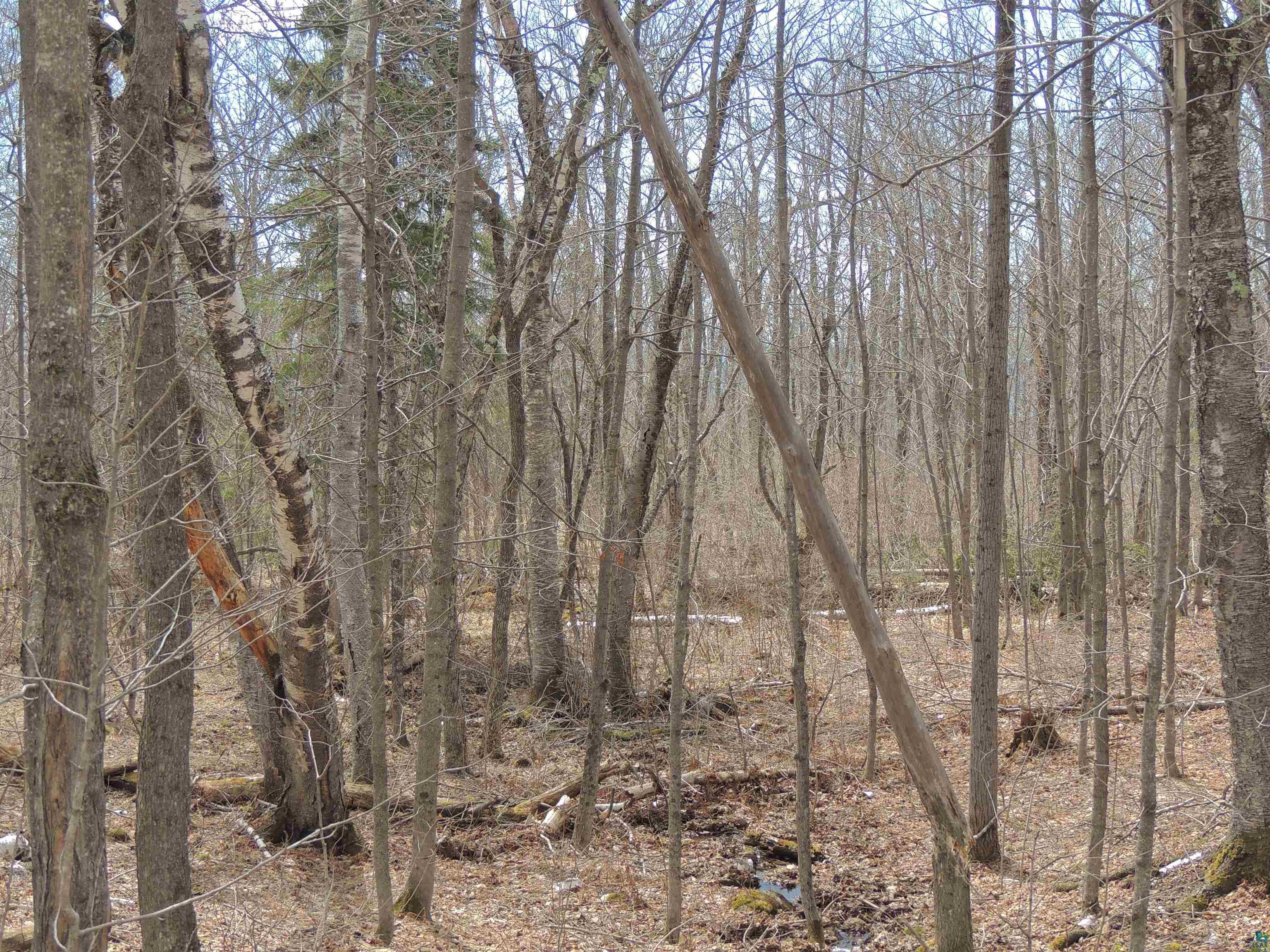 XXX Springdale Rd Tofte MN 55615 6124939 image33