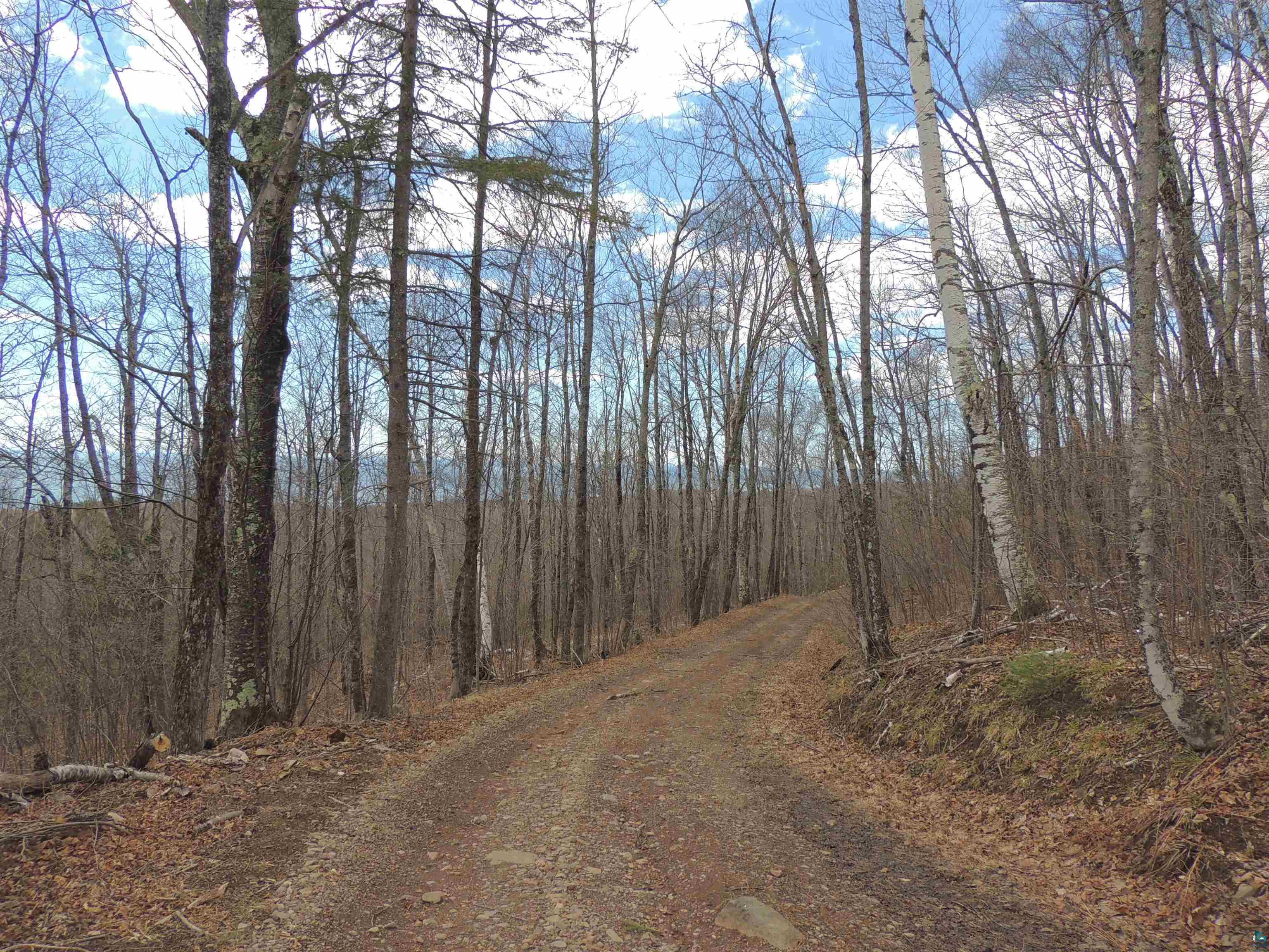 XXX Springdale Rd Tofte MN 55615 6124939 image34