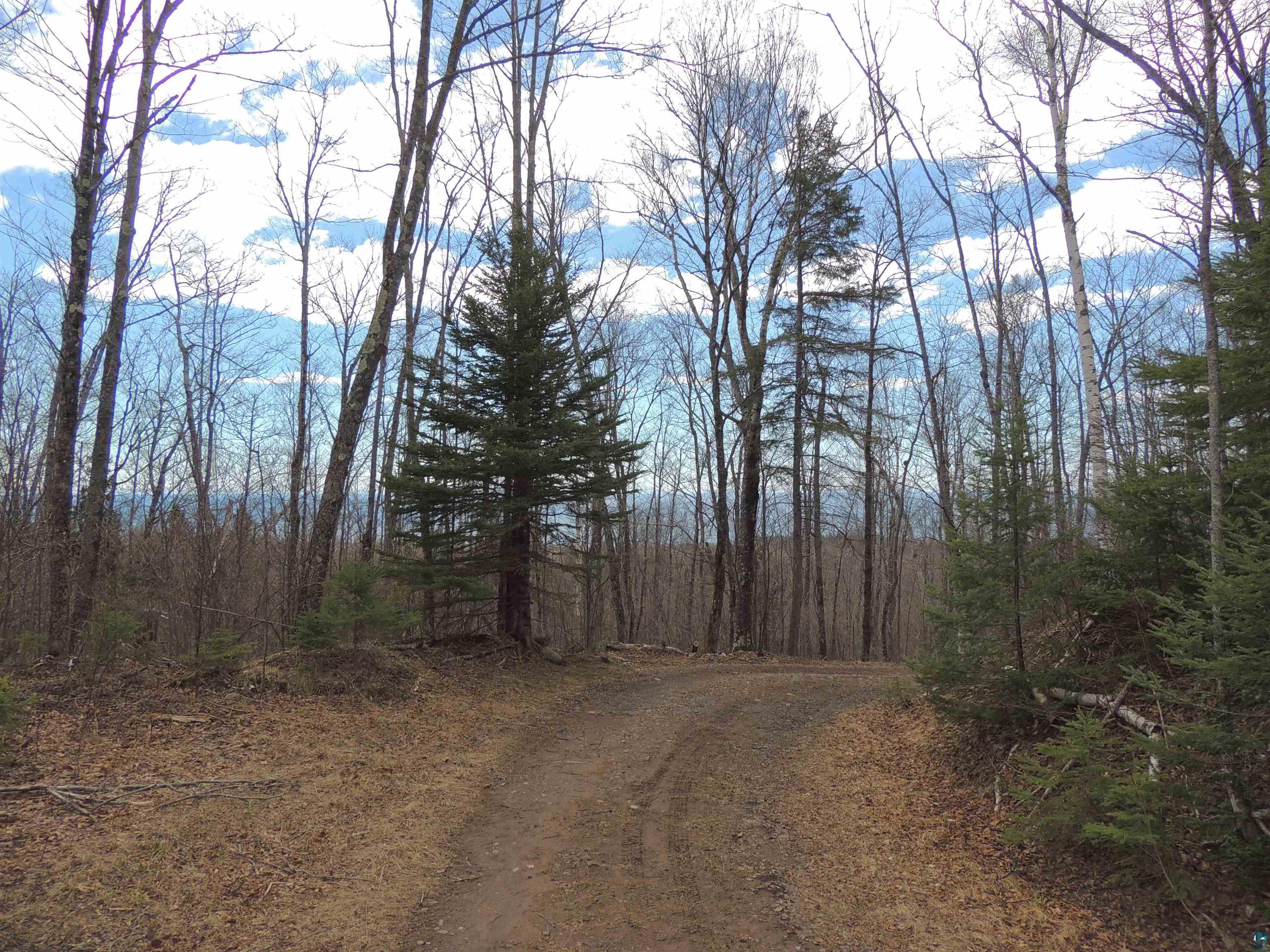 XXX Springdale Rd Tofte MN 55615 6124939 image35