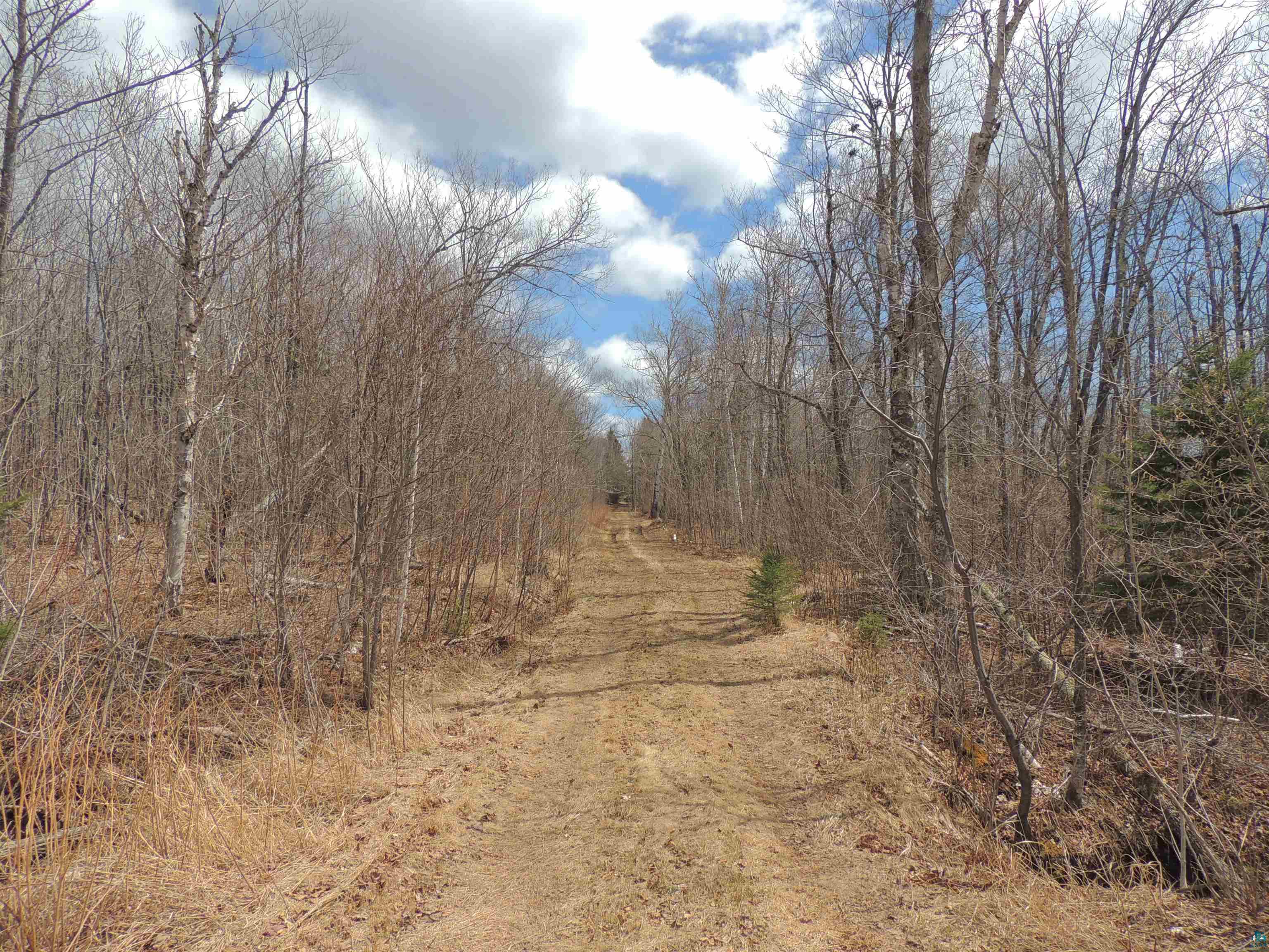 XXX Springdale Rd Tofte MN 55615 6124939 image36