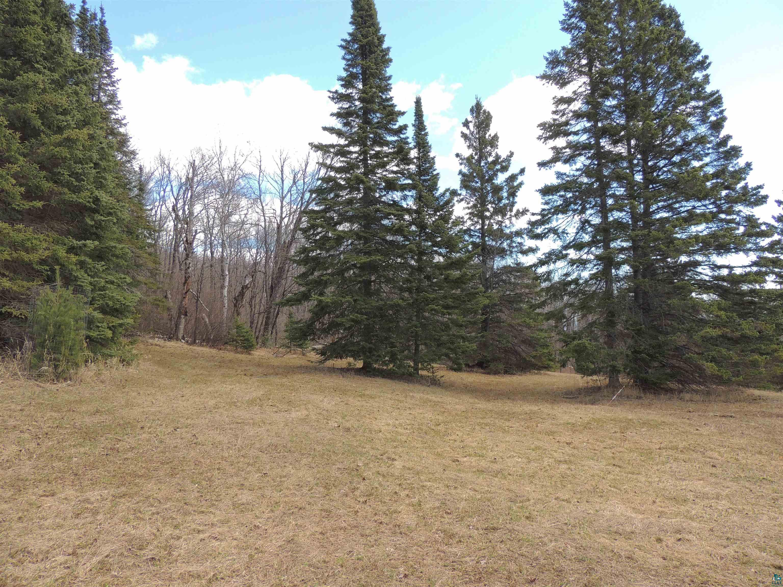 XXX Springdale Rd Tofte MN 55615 6124939 image4