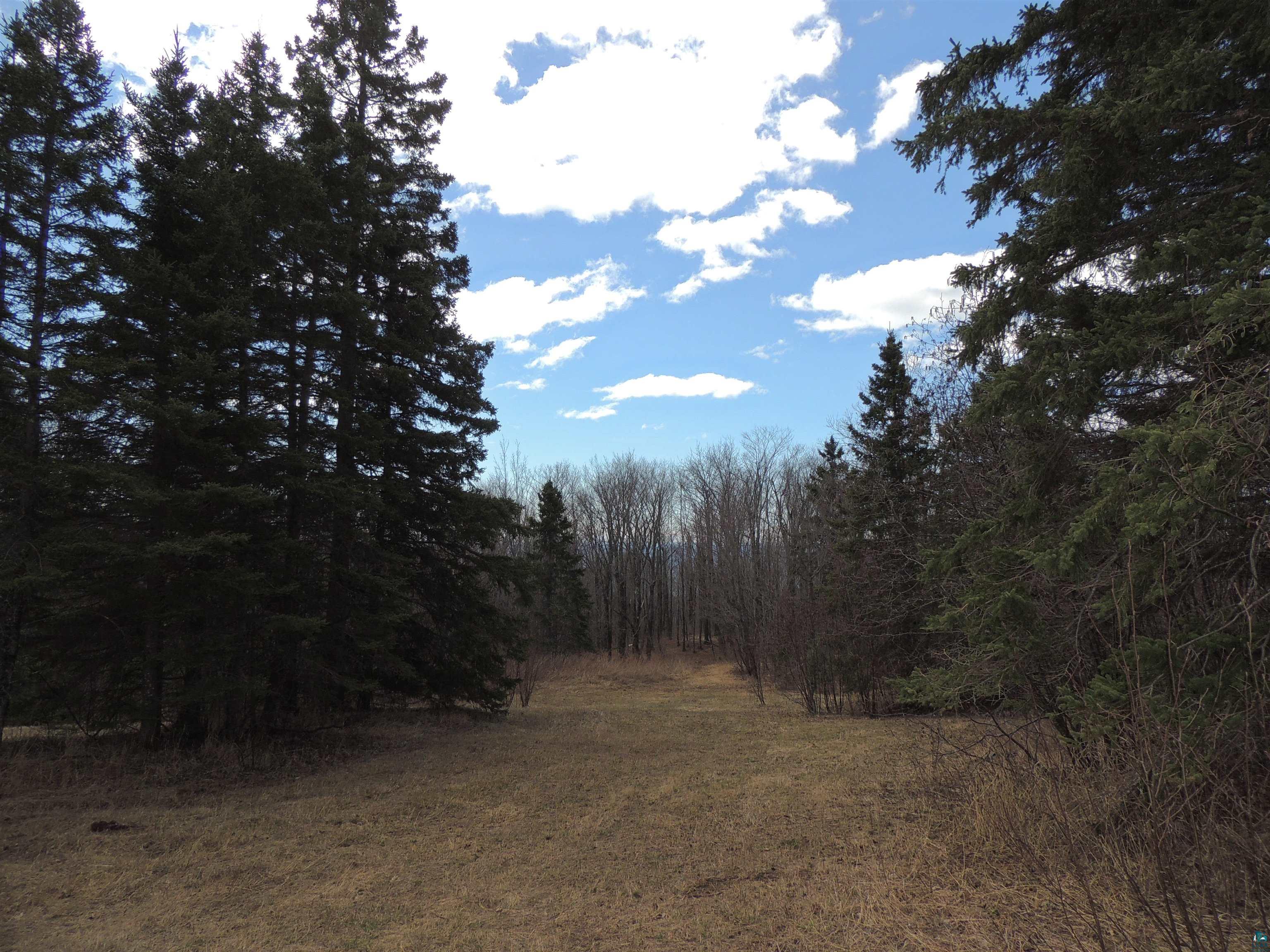 XXX Springdale Rd Tofte MN 55615 6124939 image5