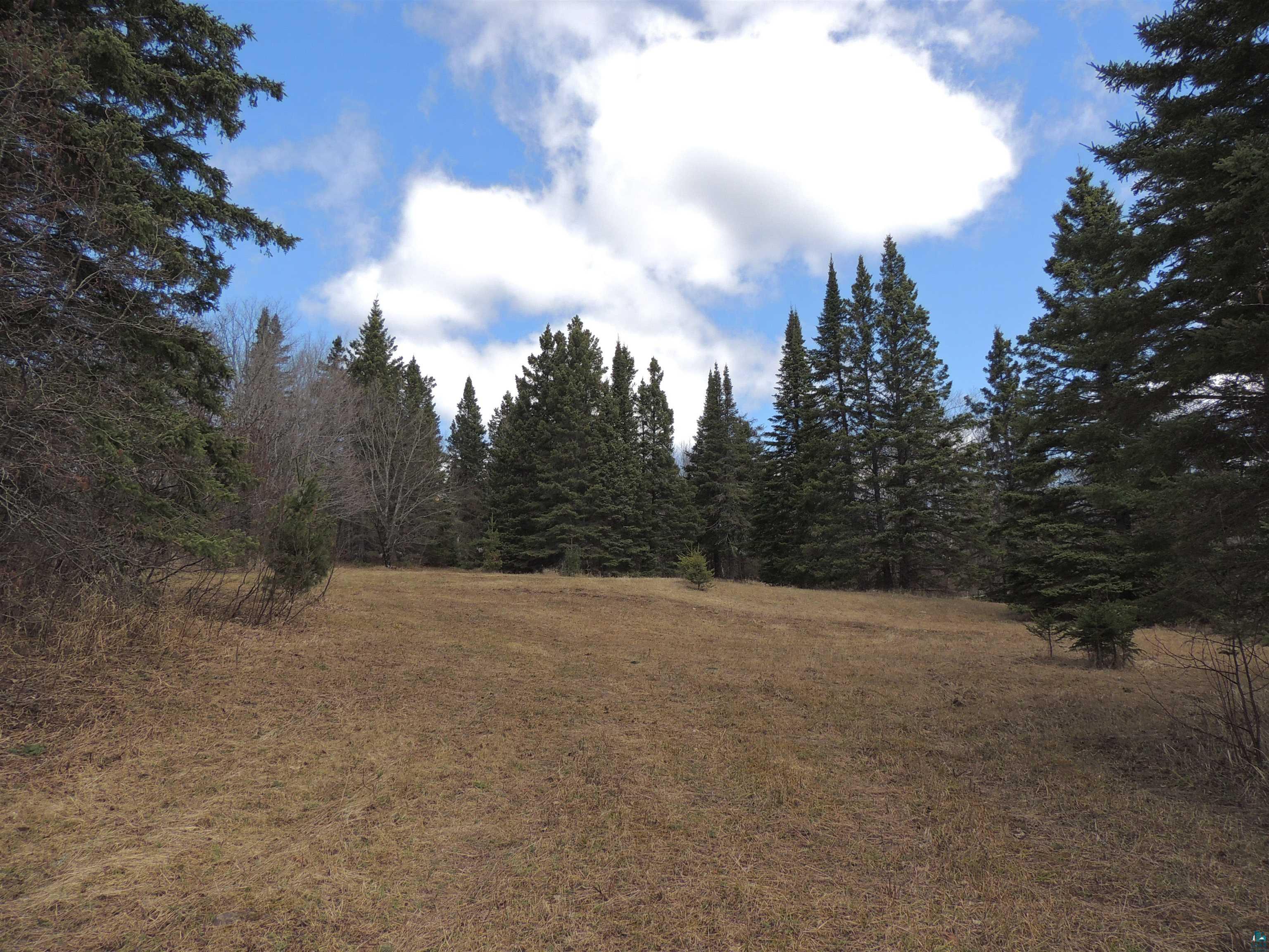 XXX Springdale Rd Tofte MN 55615 6124939 image6