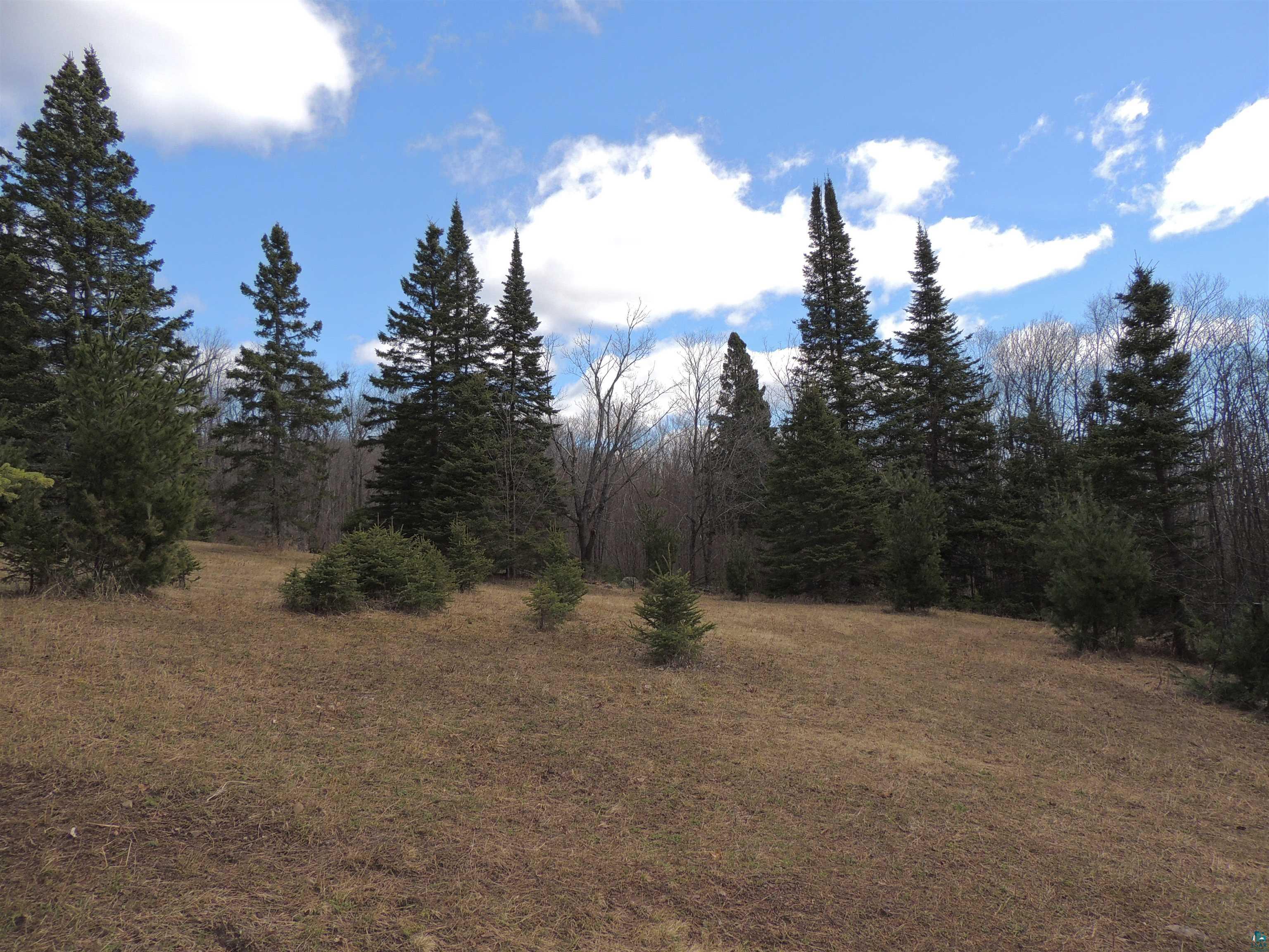 XXX Springdale Rd Tofte MN 55615 6124939 image7