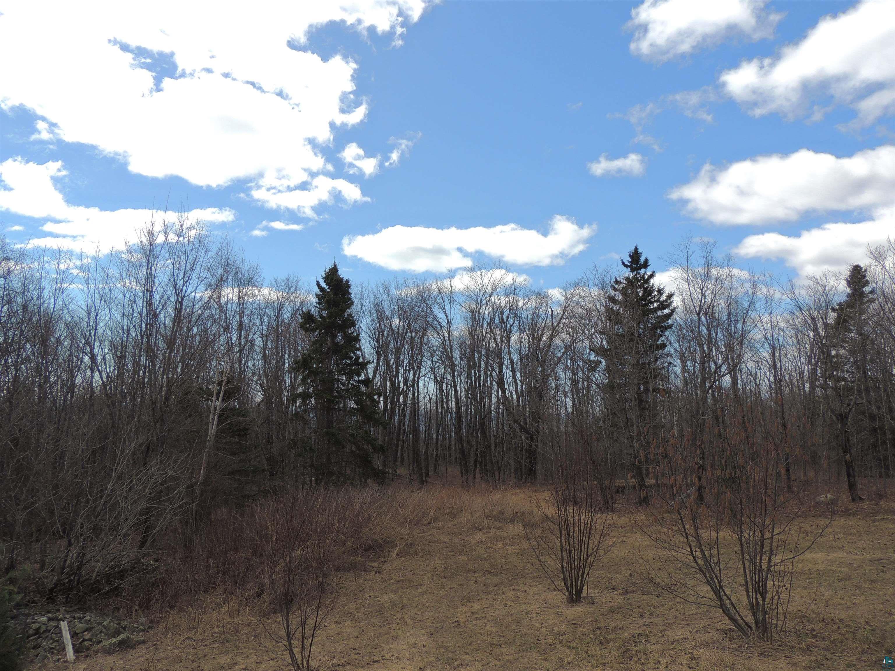 XXX Springdale Rd Tofte MN 55615 6124939 image8