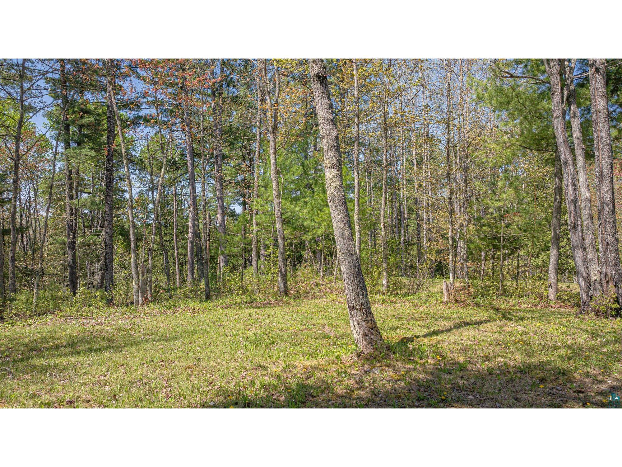 4151 Mud Creek Rd Ely MN 55731 6125796 image78