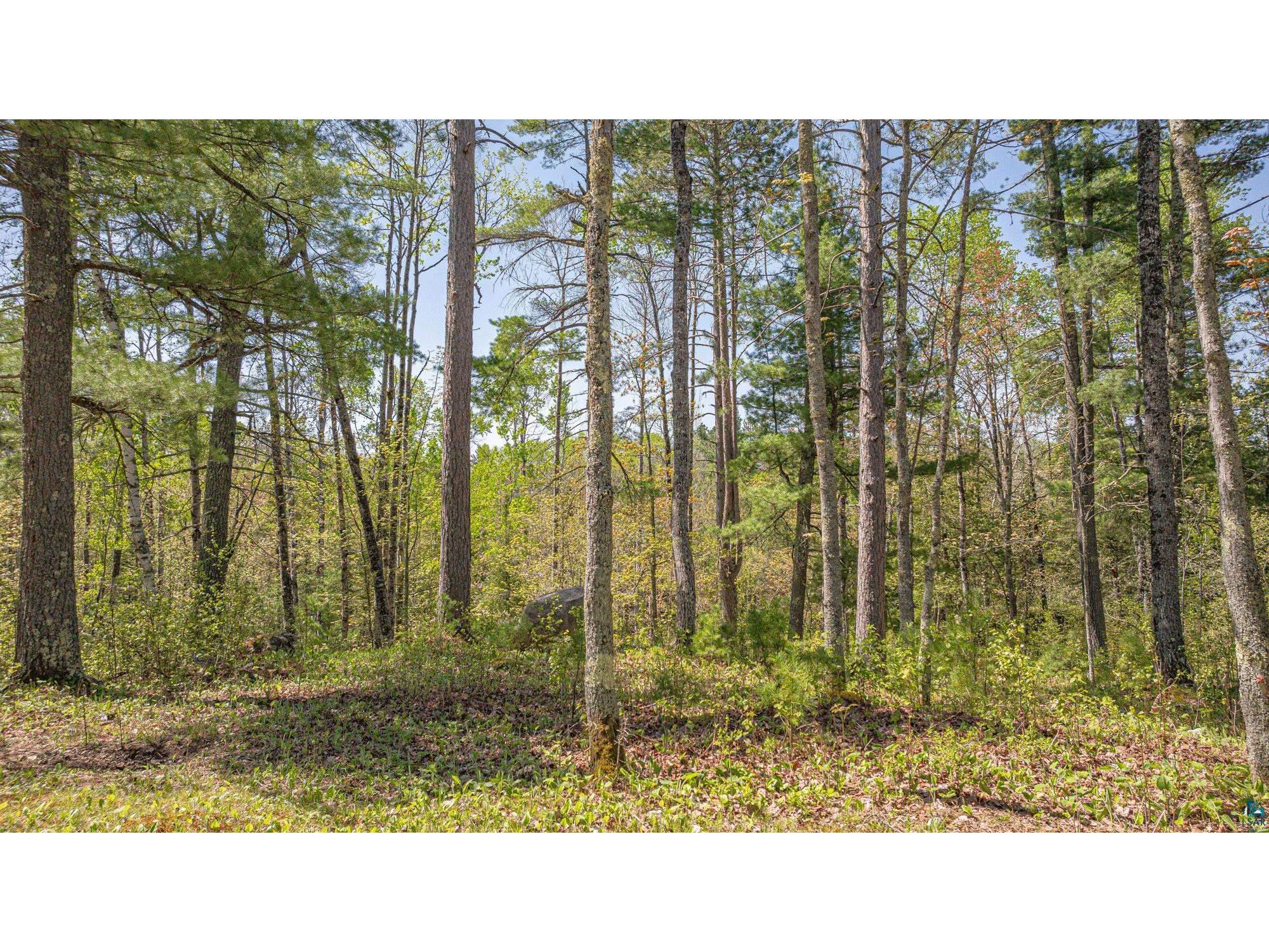4151 Mud Creek Rd Ely MN 55731 6125796 image79
