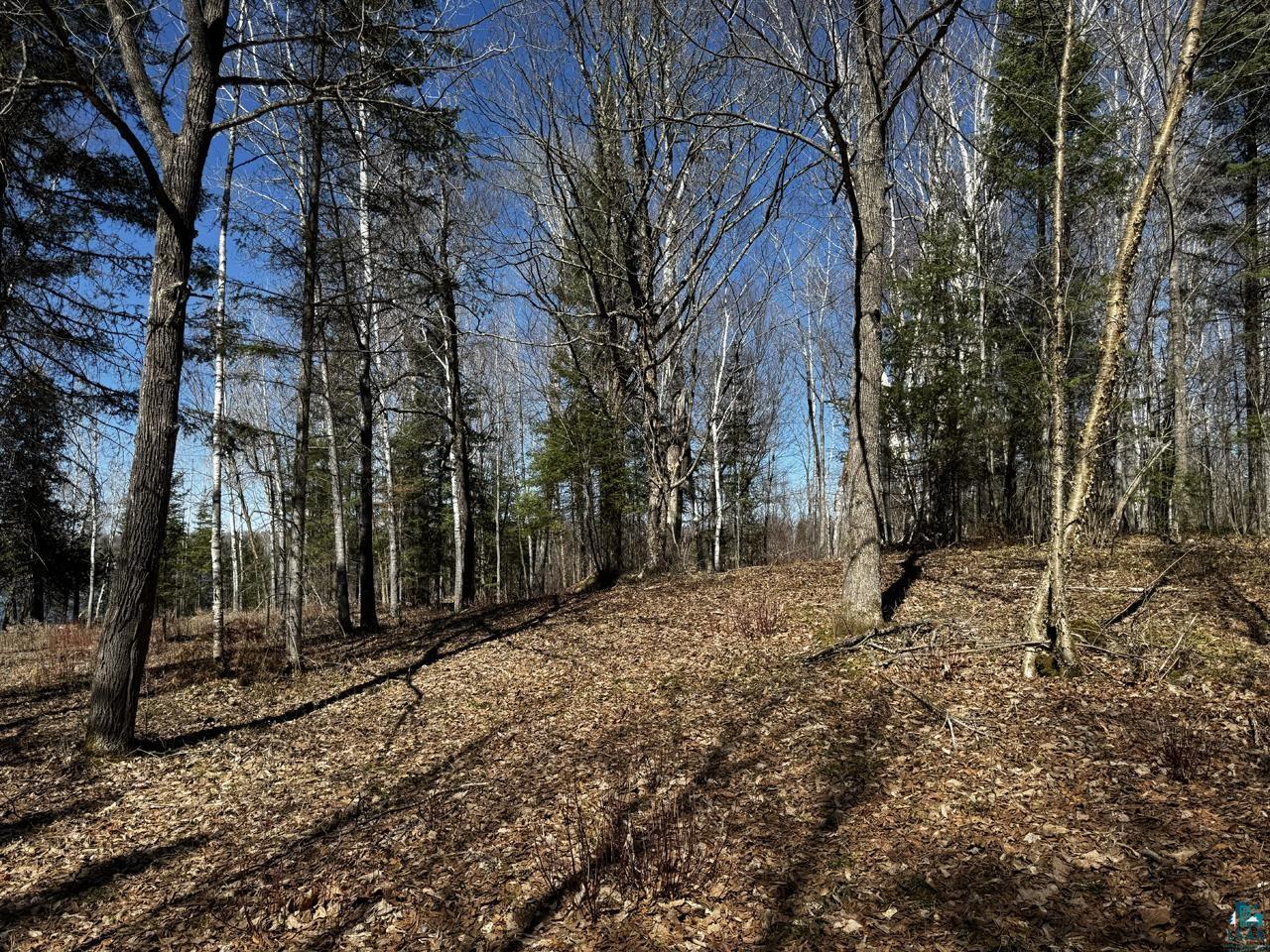 417 Barrell Road Ely MN 55731 - Fall 6124871 image12