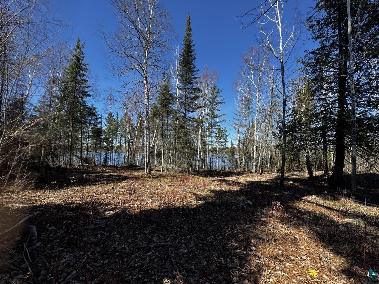 417 Barrell Road Ely MN 55731 - Fall 6124871 image13