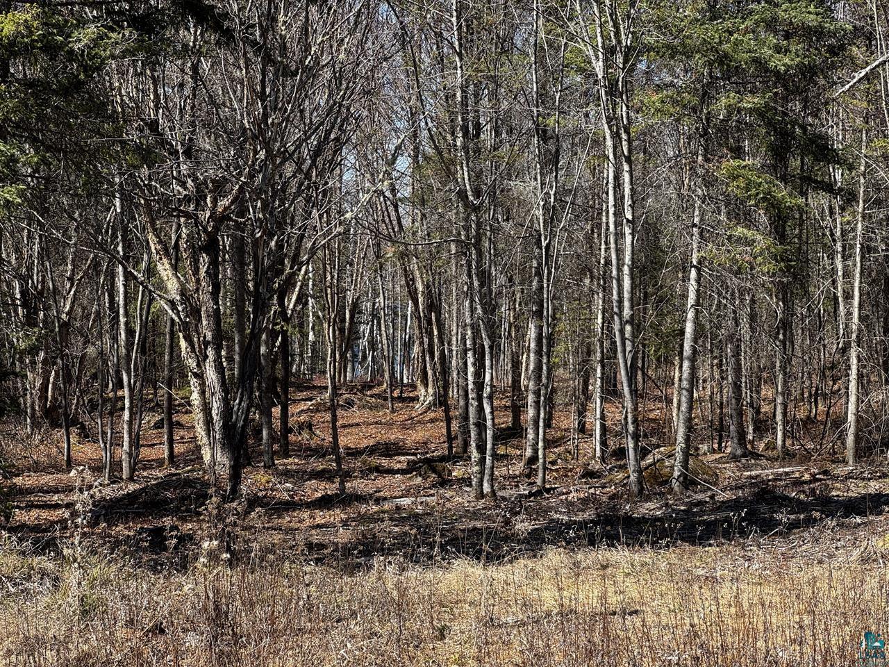 417 Barrell Road Ely MN 55731 - Fall 6124871 image15