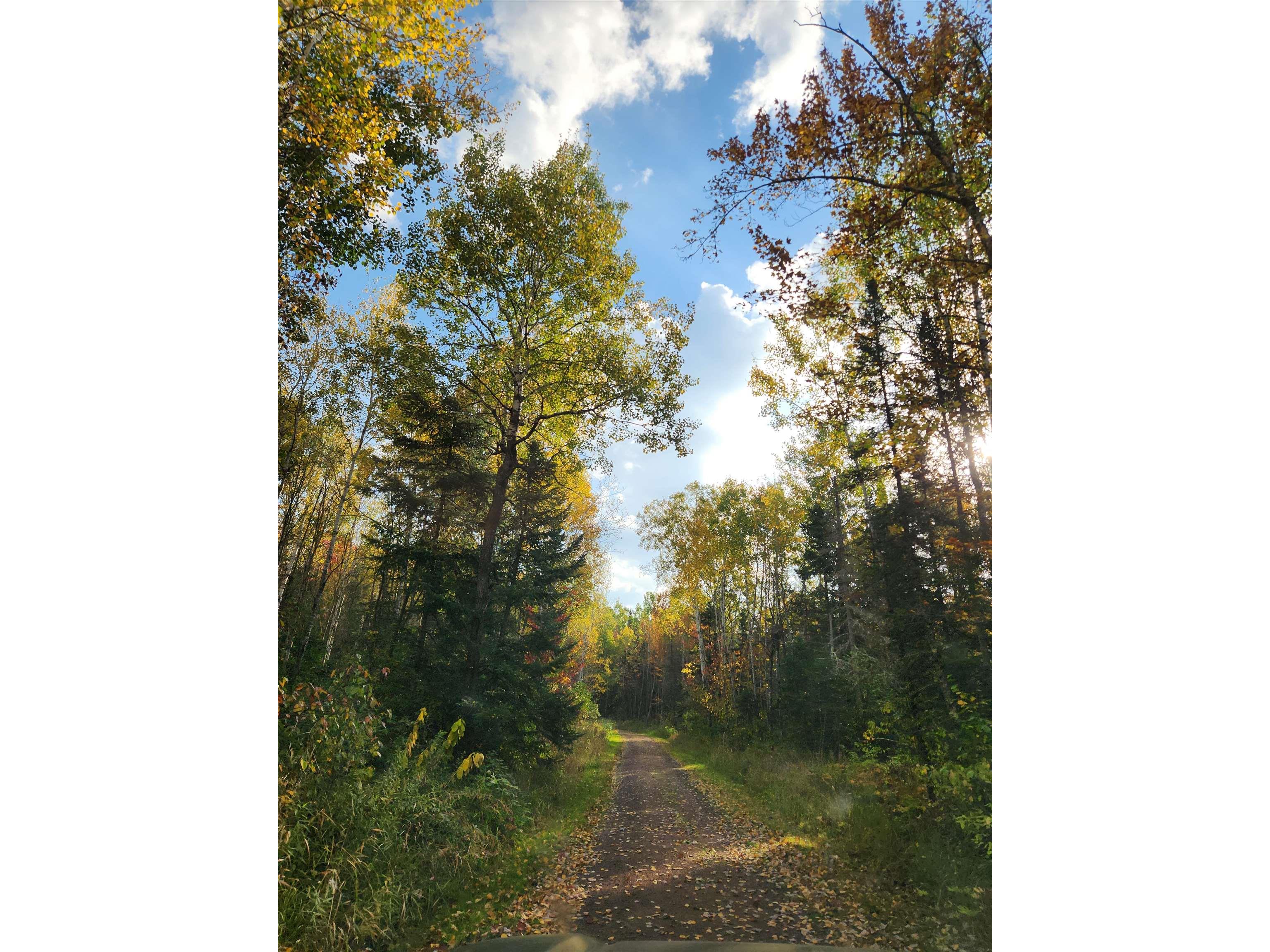 41836 Woodland Ln Marengo WI 54855 - Marengo River 6123044 image43