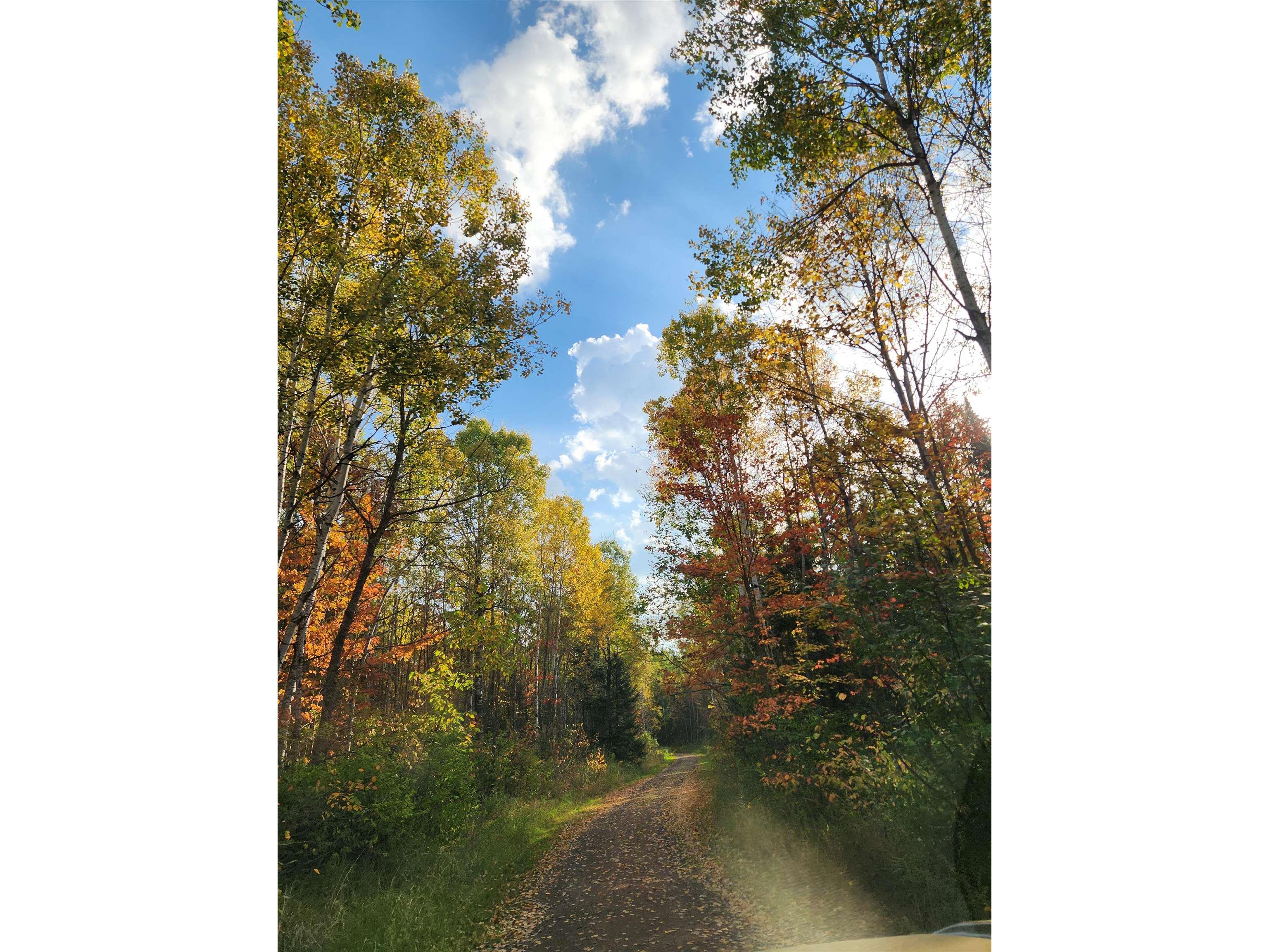 41836 Woodland Ln Marengo WI 54855 - Marengo River 6123044 image44