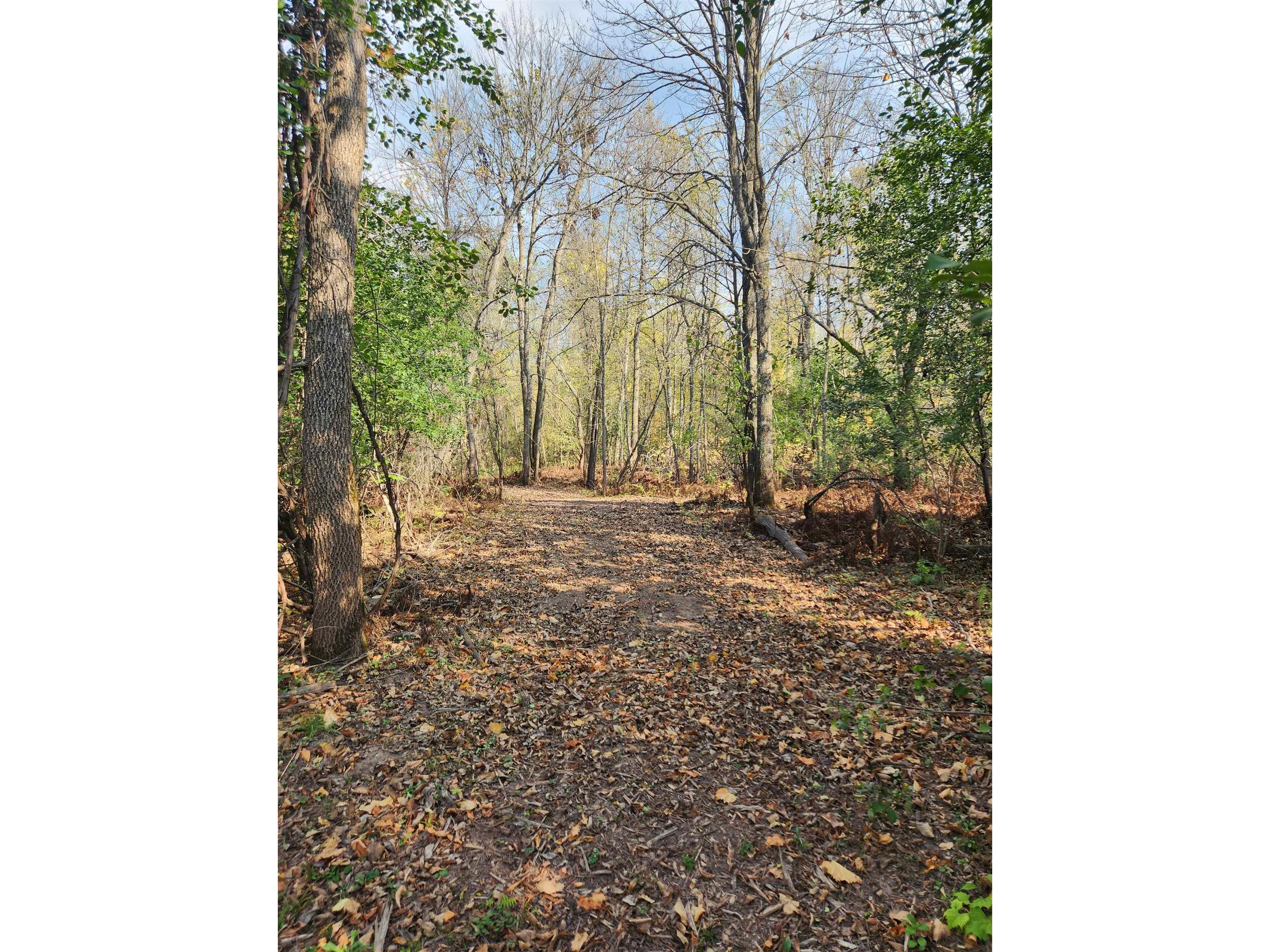 41836 Woodland Ln Marengo WI 54855 - Marengo River 6123044 image45