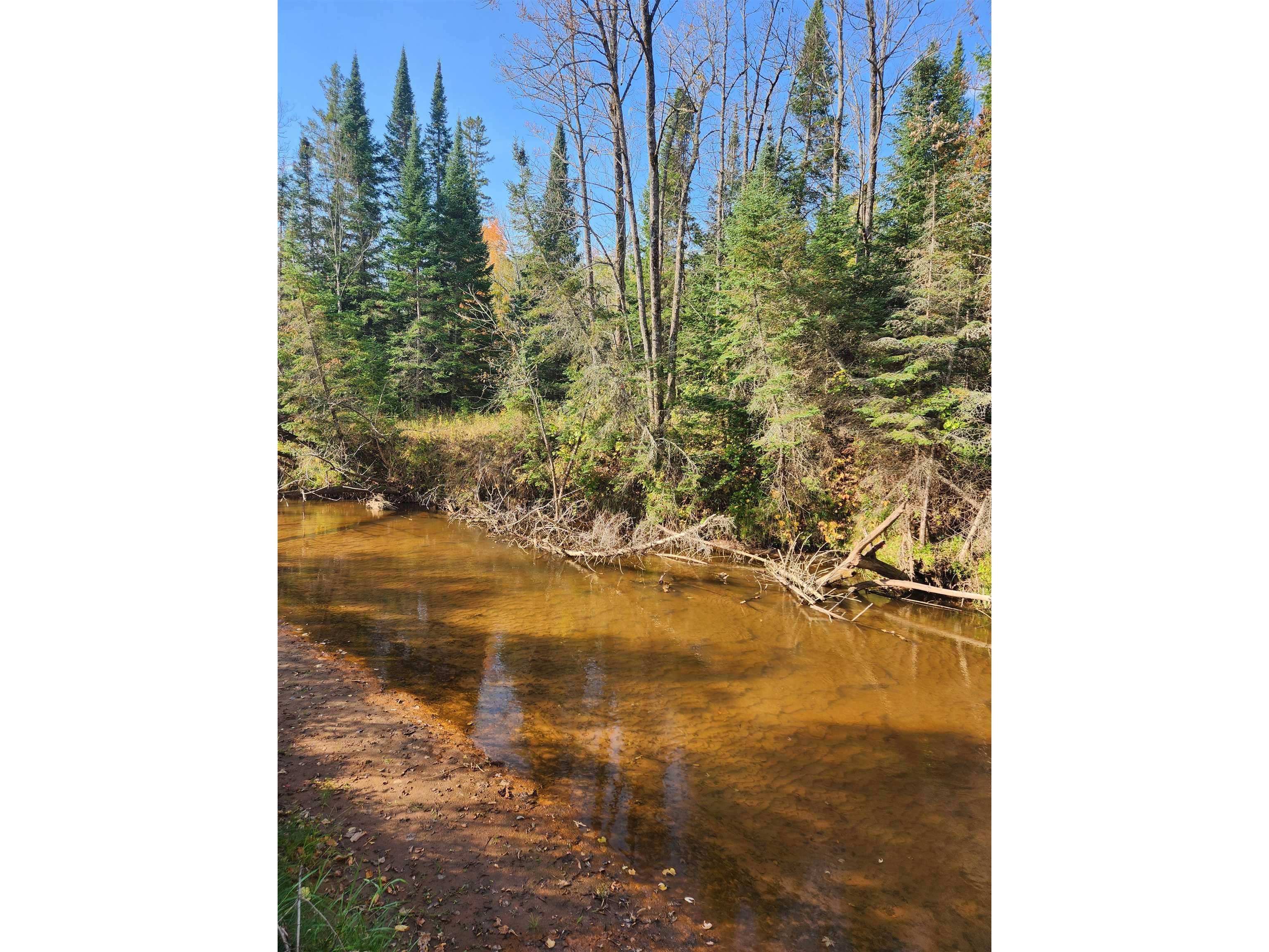 41836 Woodland Ln Marengo WI 54855 - Marengo River 6123044 image47