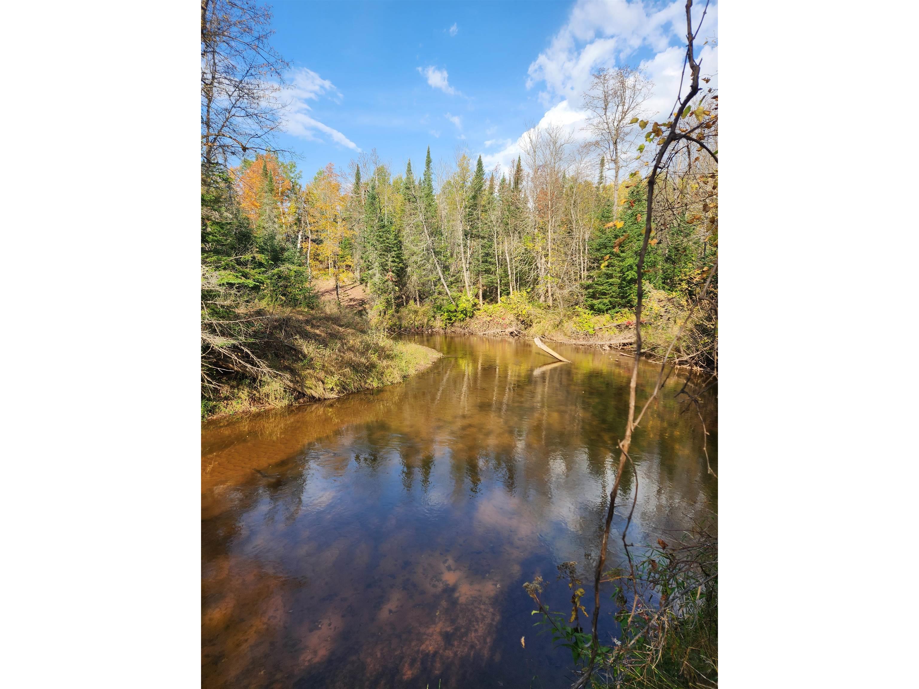 41836 Woodland Ln Marengo WI 54855 - Marengo River 6123044 image49