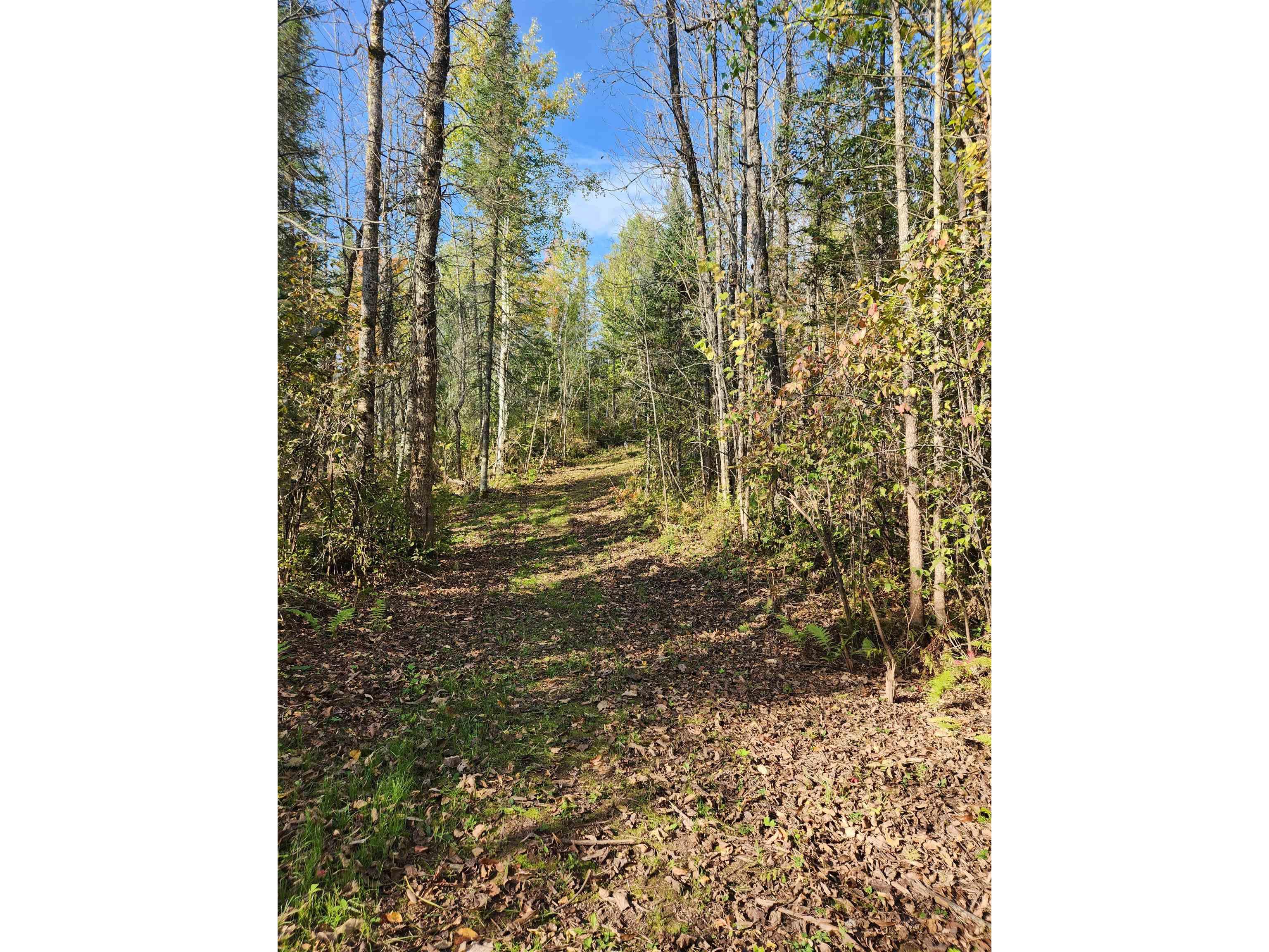 41836 Woodland Ln Marengo WI 54855 - Marengo River 6123044 image50