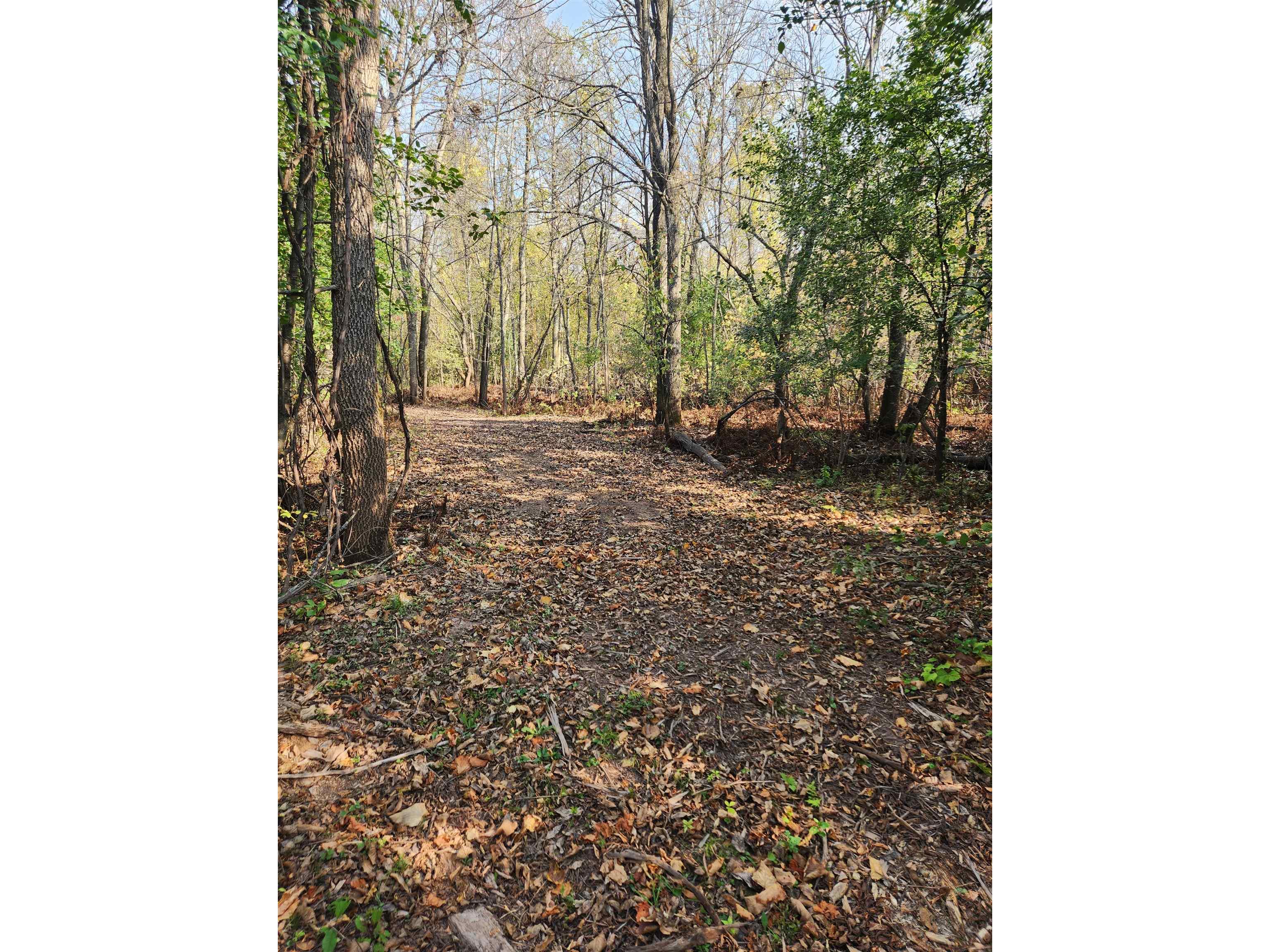 41836 Woodland Ln Marengo WI 54855 - Marengo River 6123044 image51