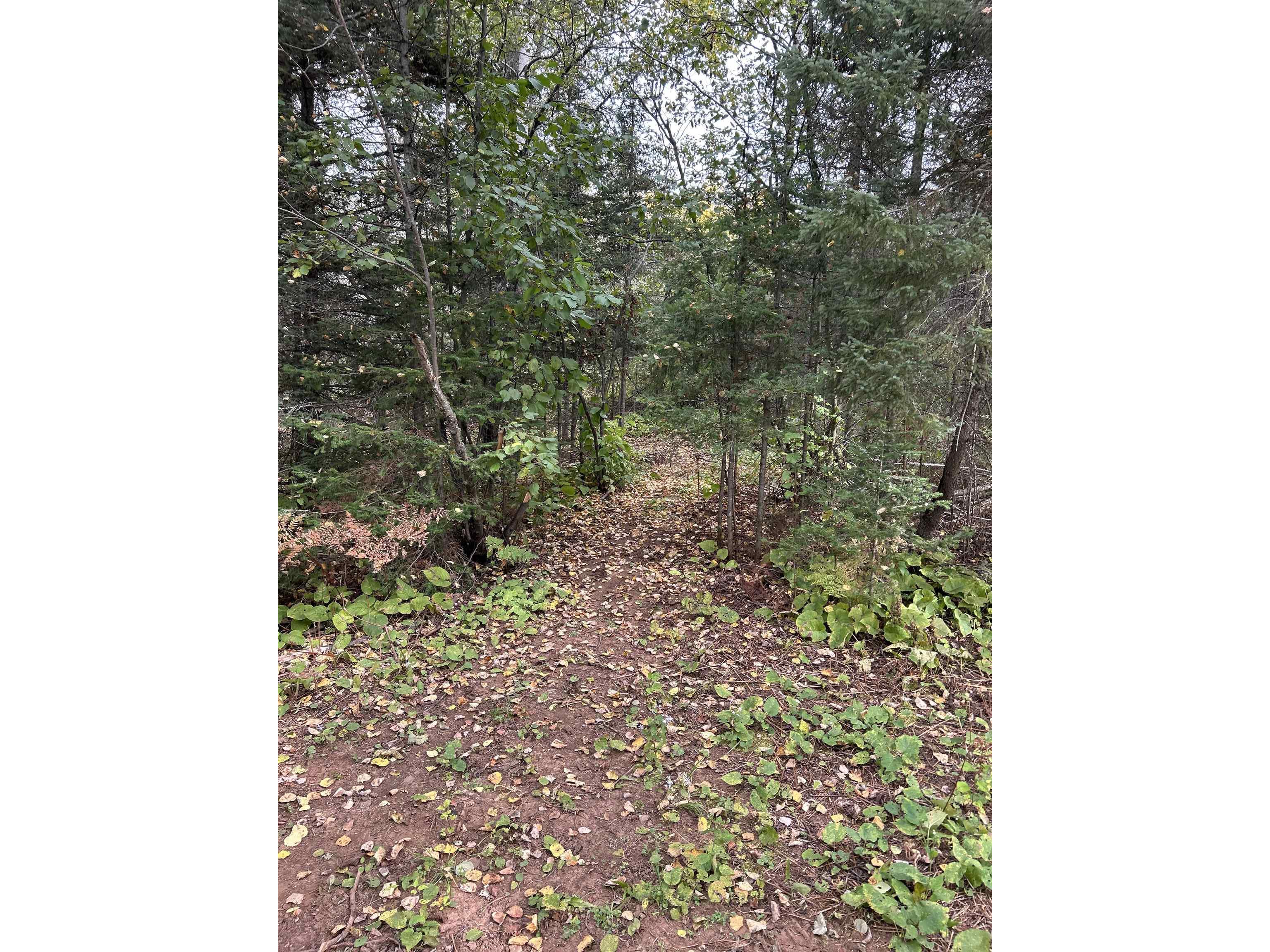 4184 Bergstrom Rd Two Harbors MN 55616 6122269 image14