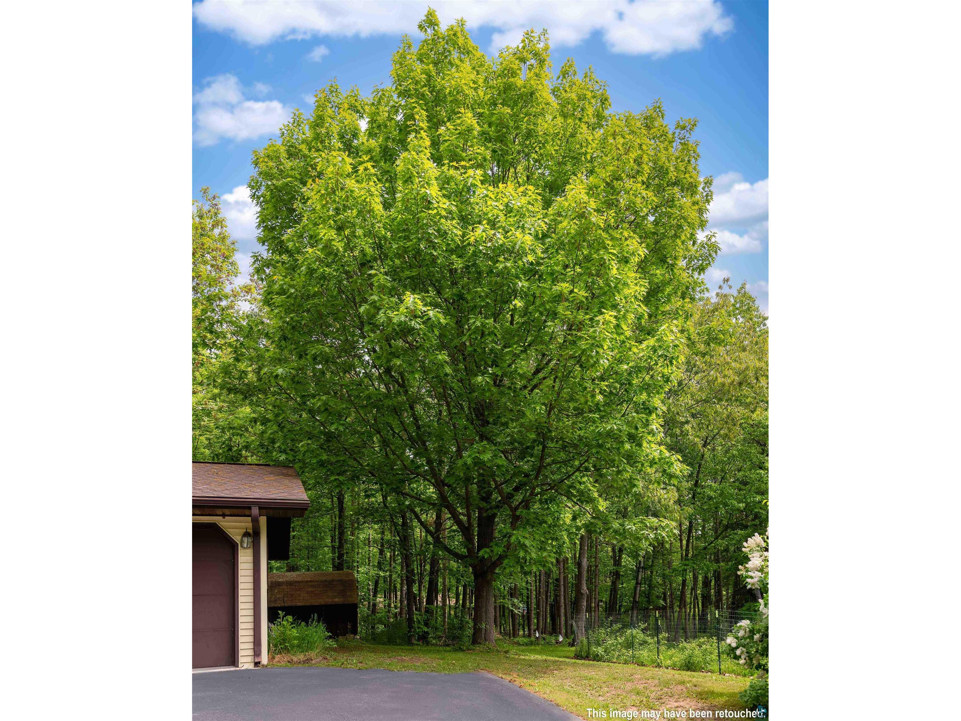 420 5th Ave E Washburn WI 54891 6126020 image22