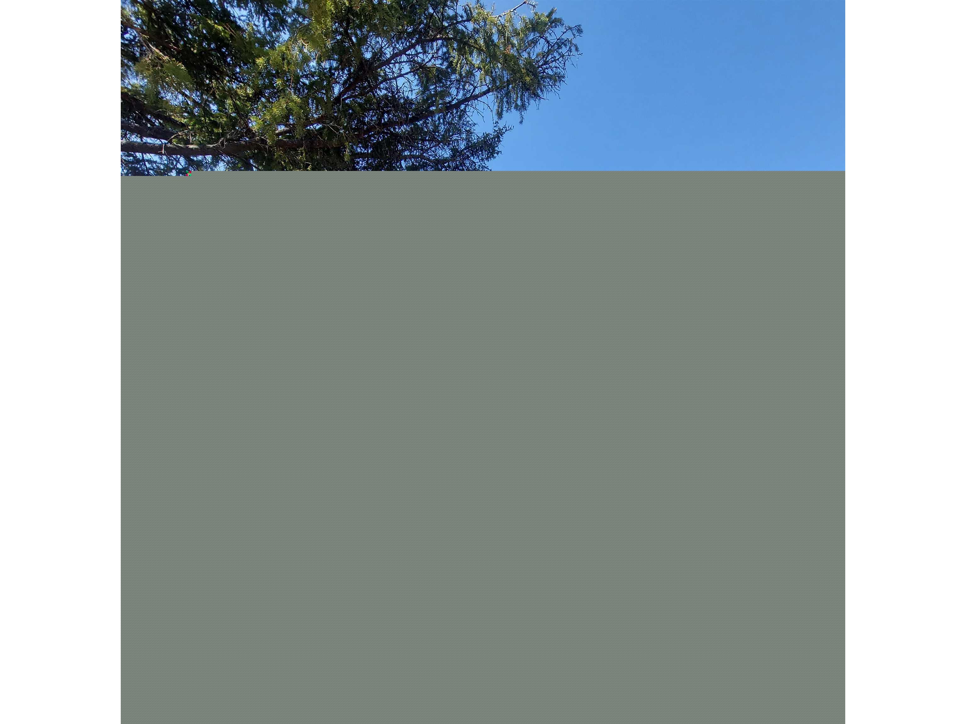 4203 Trinity Rd, Duluth, MN, 55811 MLS 6107980 Edina Realty