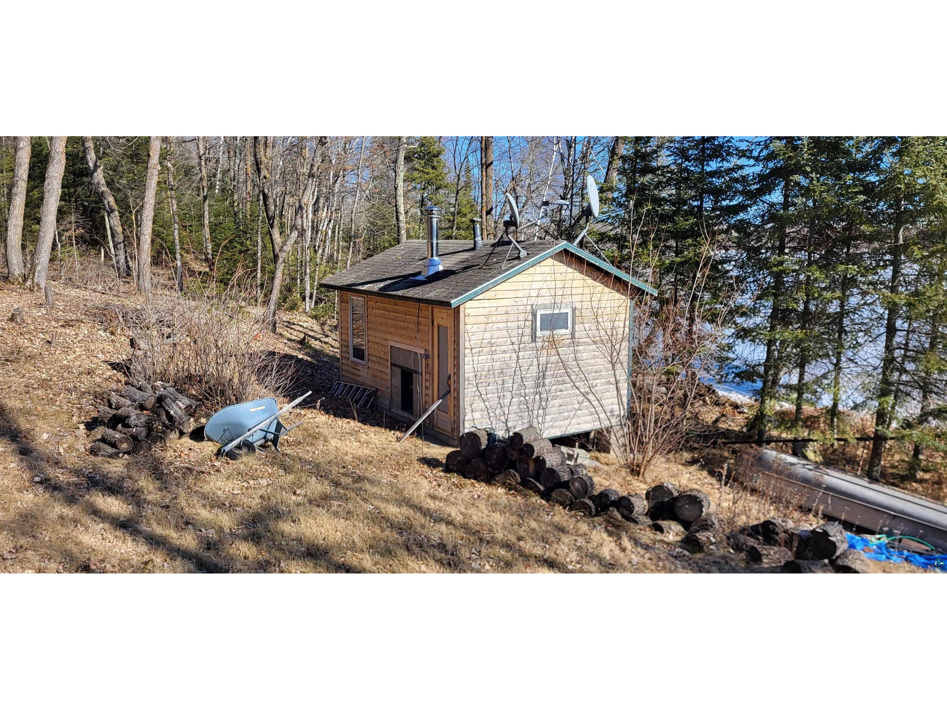 4223 Sugar Point Island, Orr, MN, 55771 MLS 6112596 Edina Realty