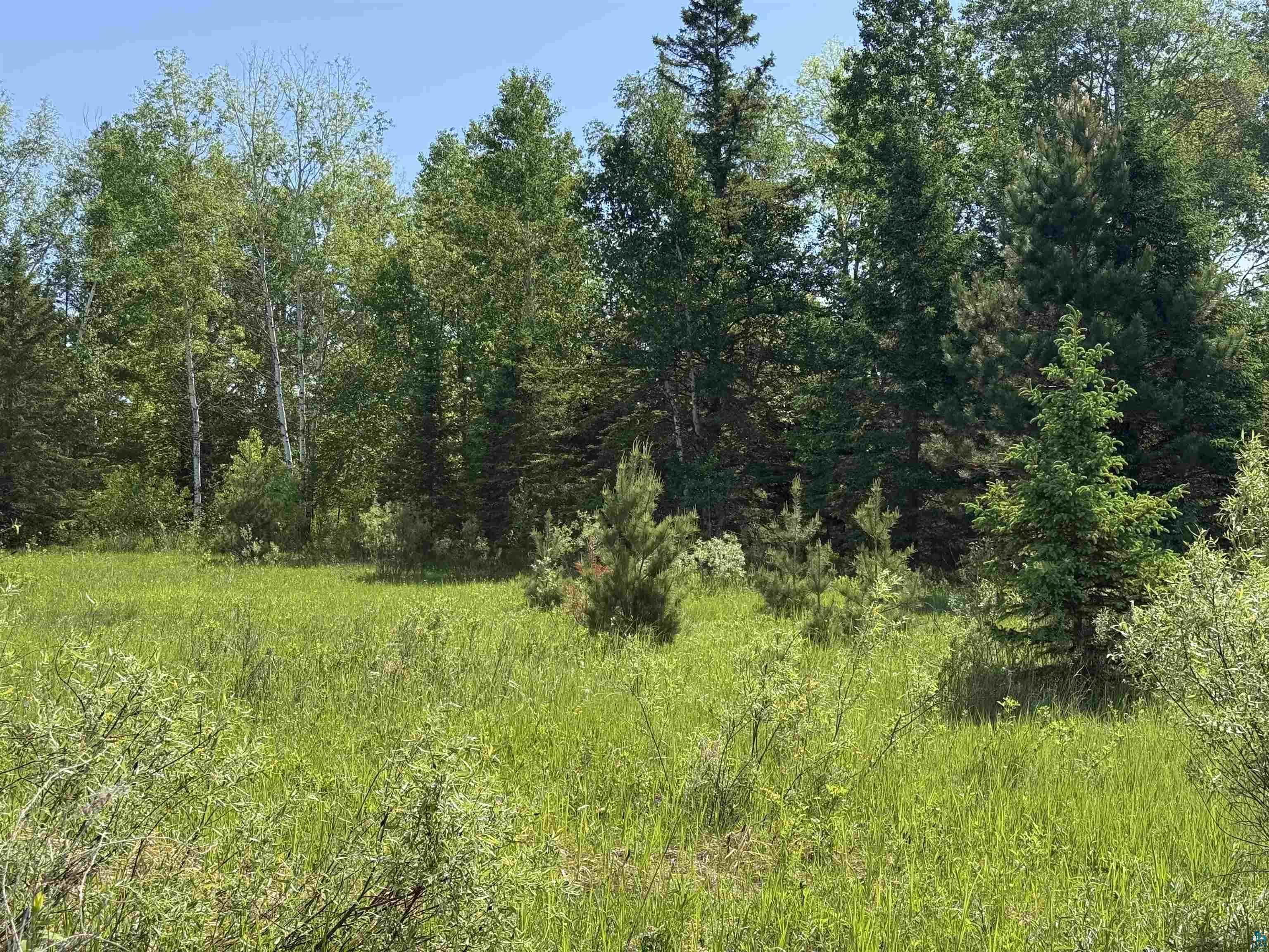 42330 Rutabaga Rd Askov MN 55704 6125812 image24