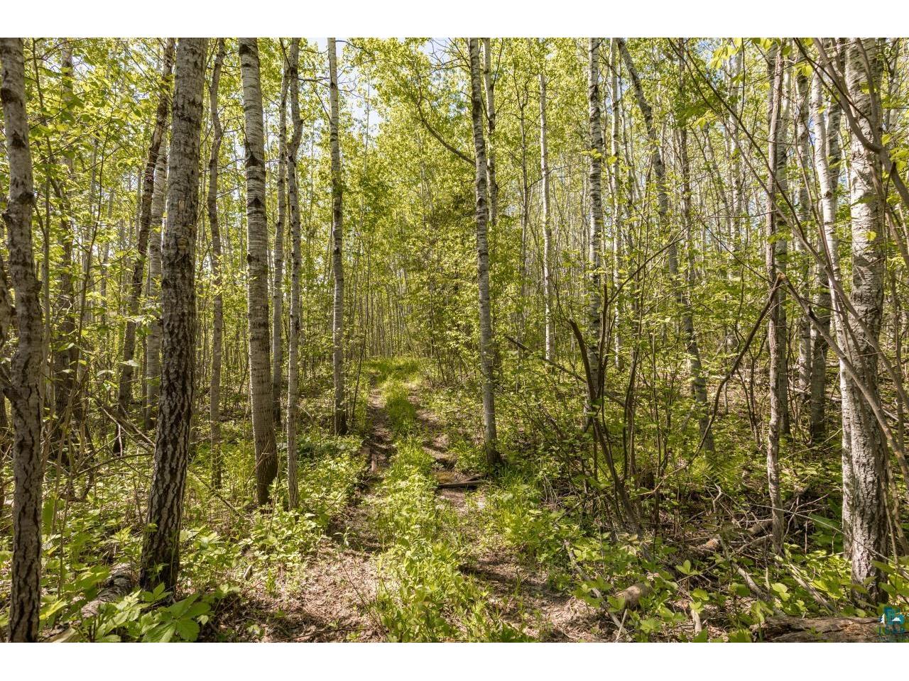 4239 S Lyman Lake Rd South Range WI 54874 6125808 image45