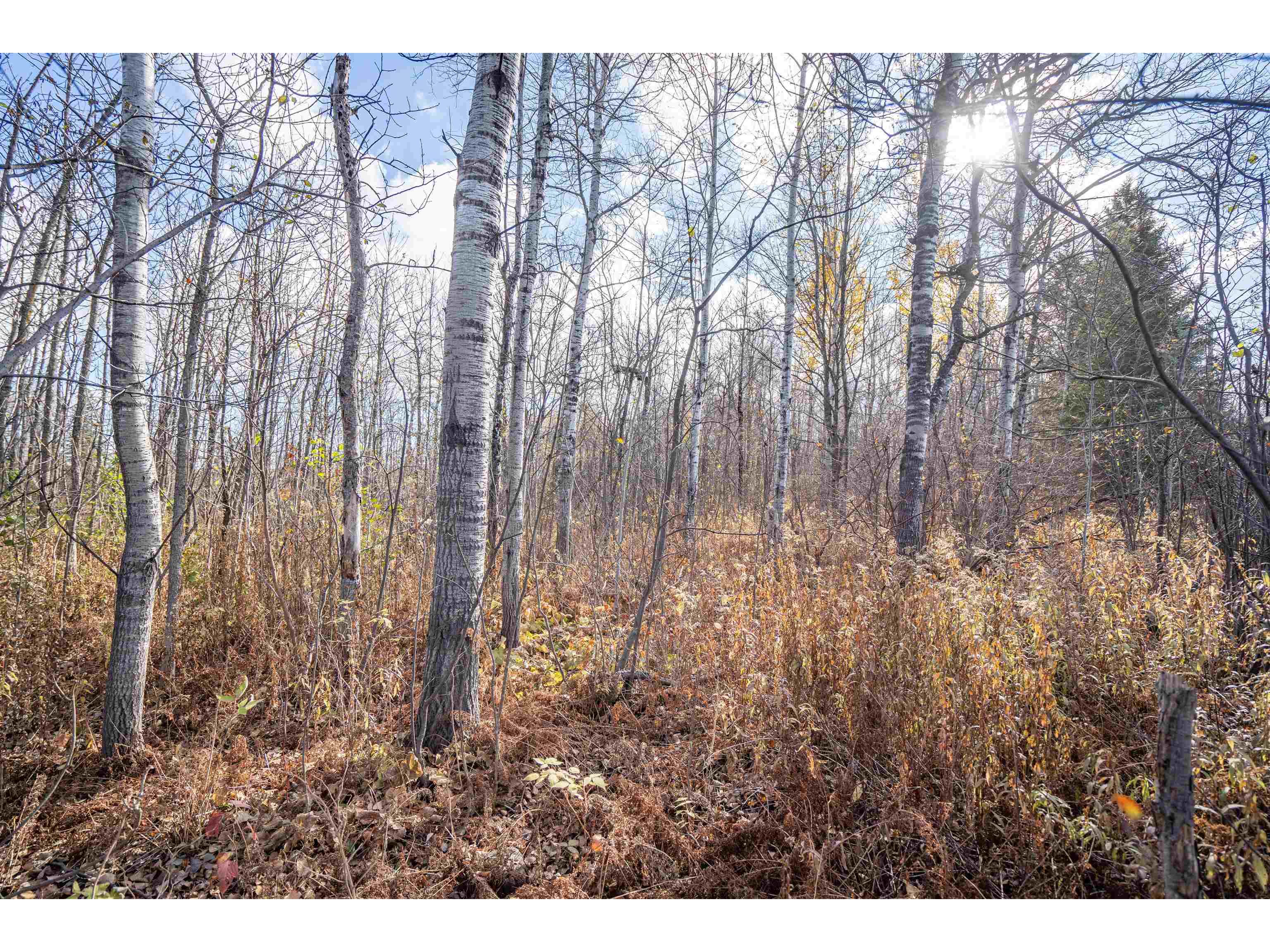 42xa Stebner Rd Hermantown MN 55811 6123124 image6