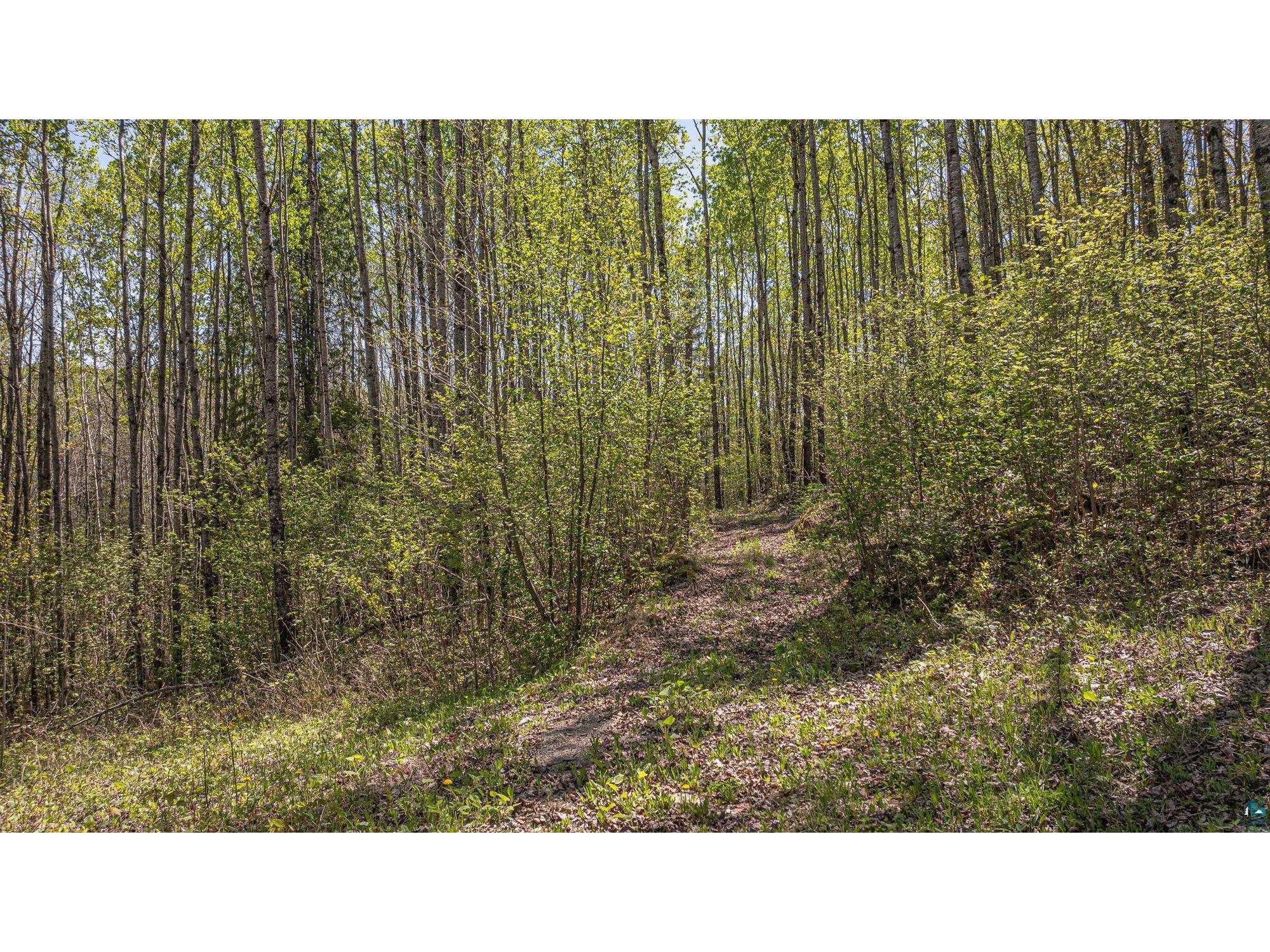 4304 Mud Creek Rd Ely MN 55731 6125838 image83