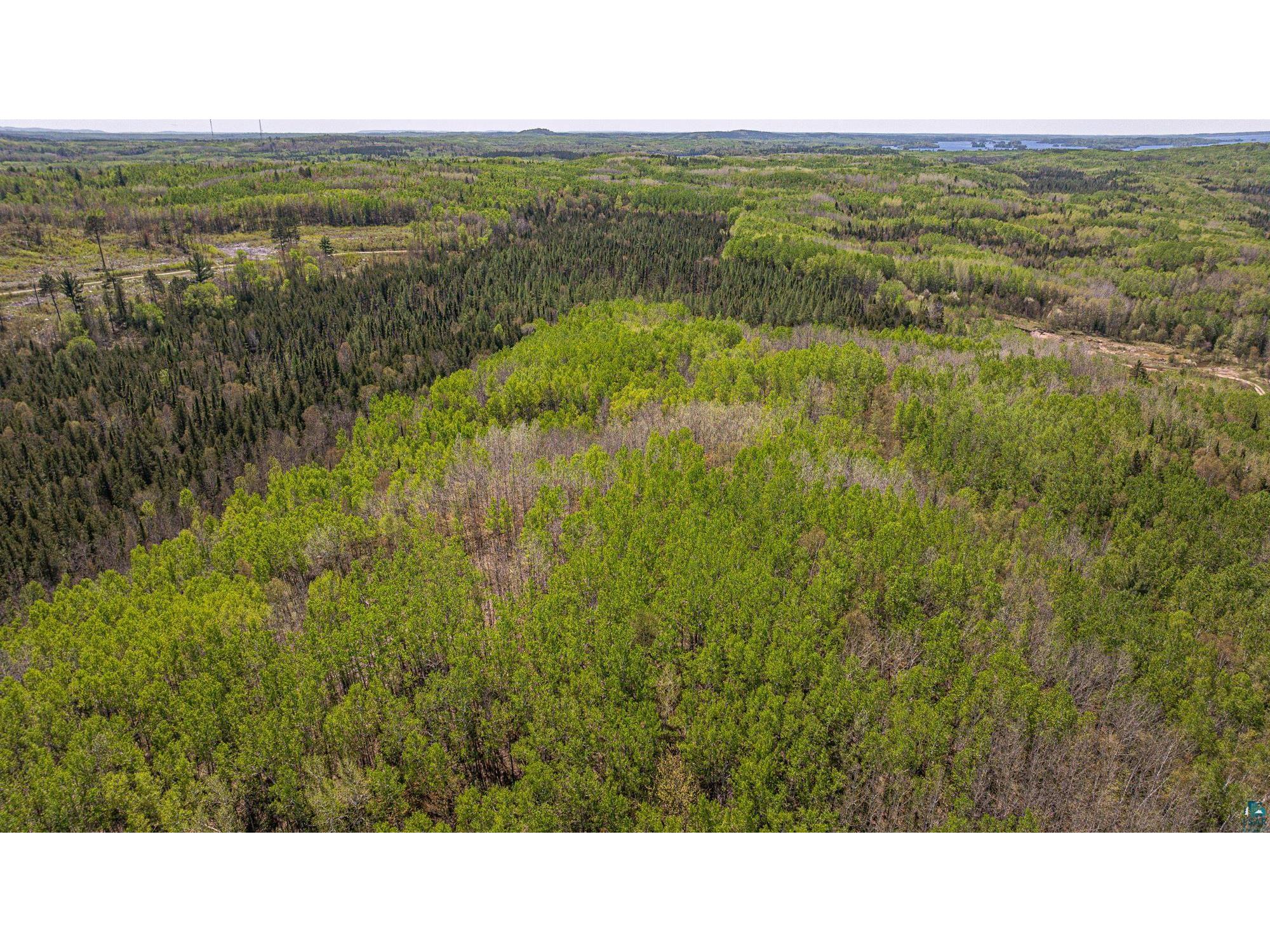 4304 Mud Creek Rd Ely MN 55731 6125838 image87