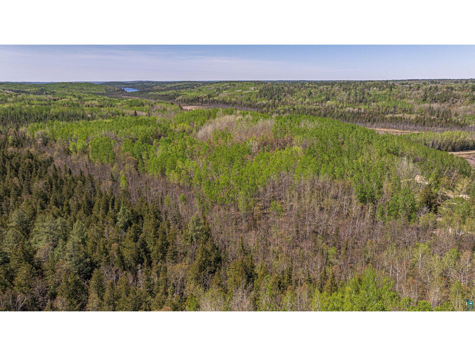 4304 Mud Creek Rd Ely MN 55731 6125838 image92
