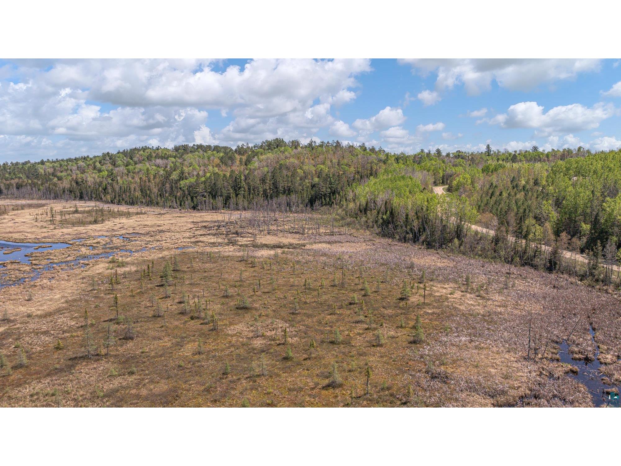 4304 Mud Creek Rd Ely MN 55731 6125838 image98