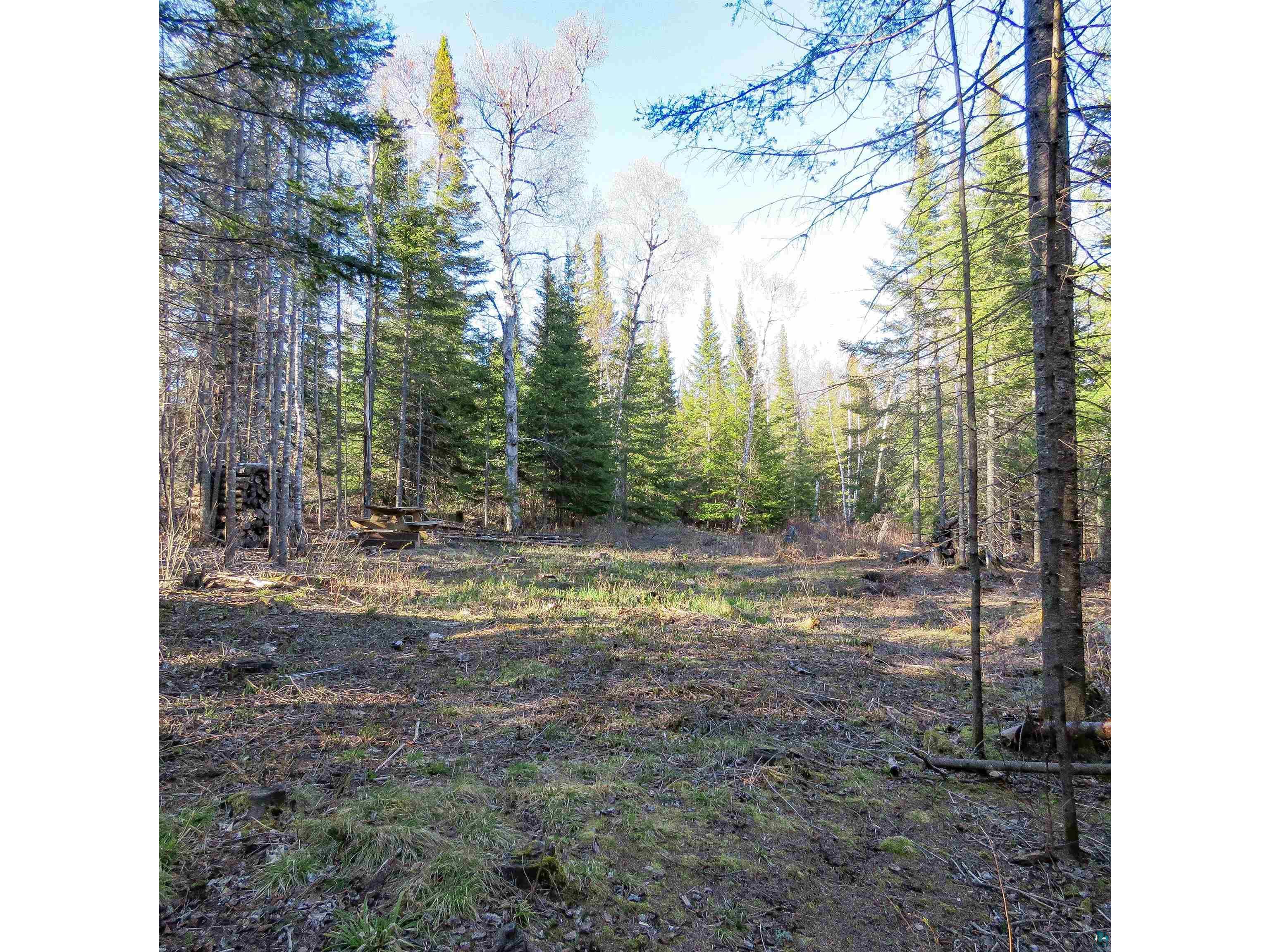 435 Cramer Rd Schroeder MN 55614 6125444 image1