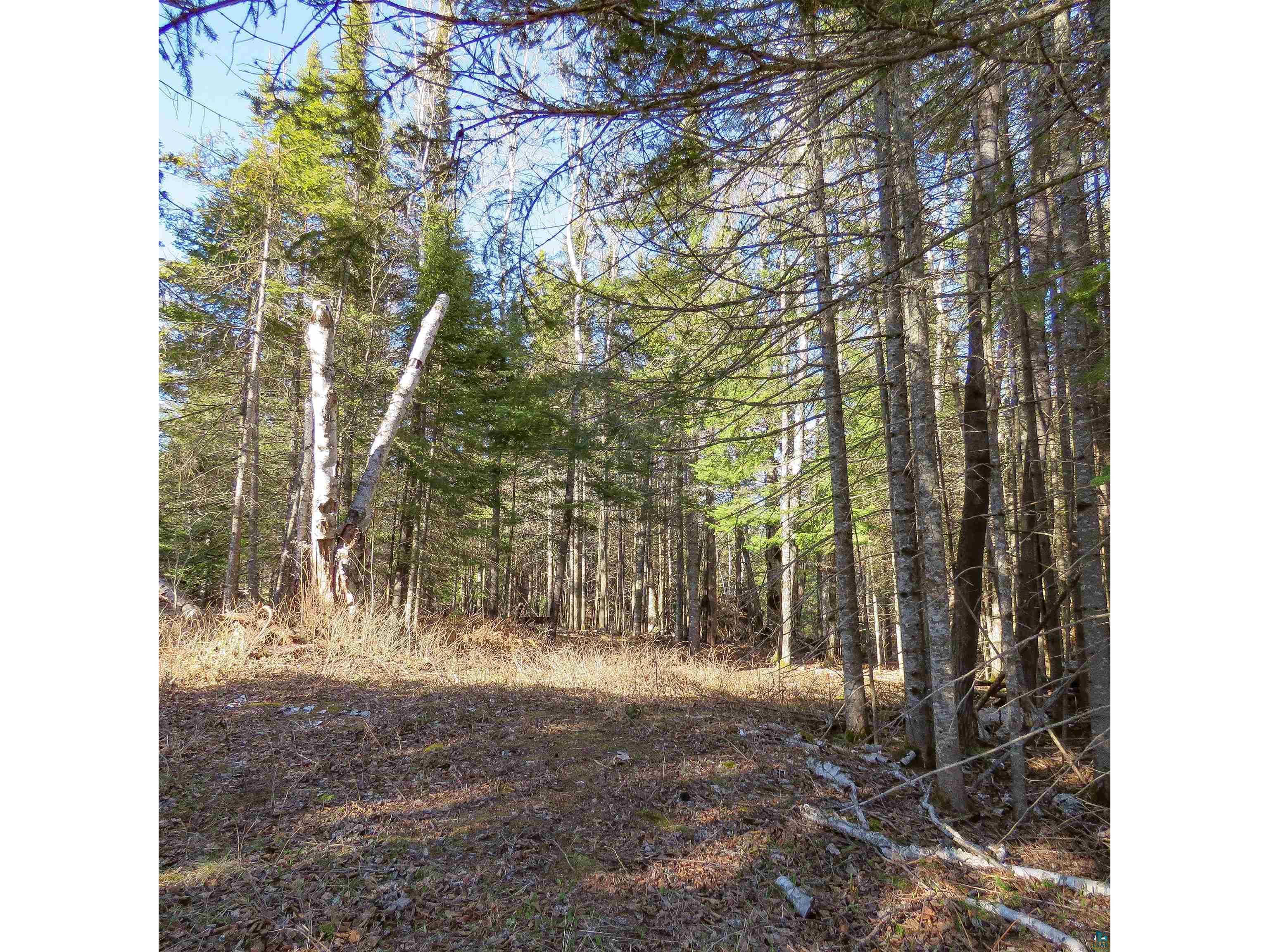 435 Cramer Rd Schroeder MN 55614 6125444 image10
