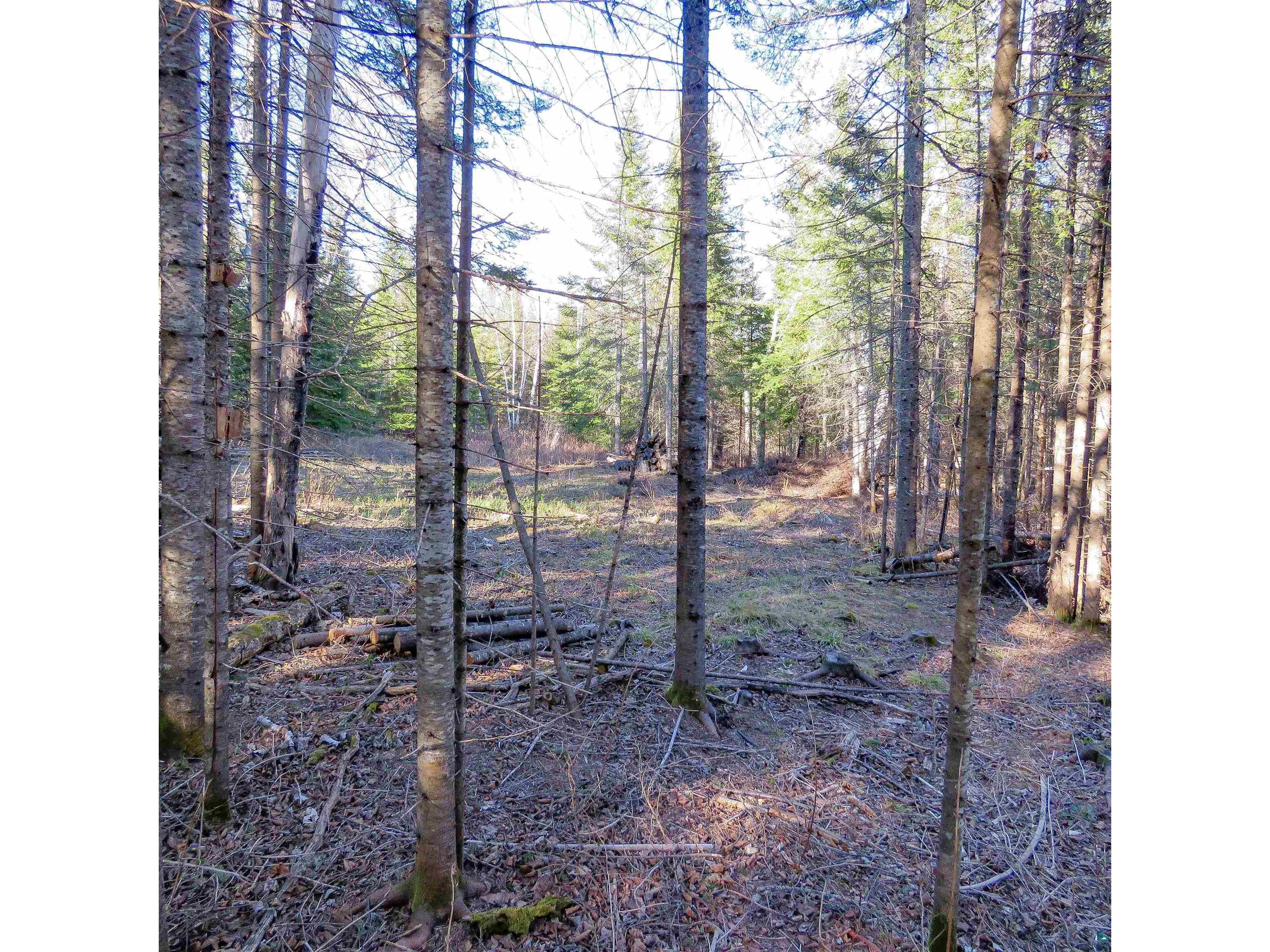435 Cramer Rd Schroeder MN 55614 6125444 image13