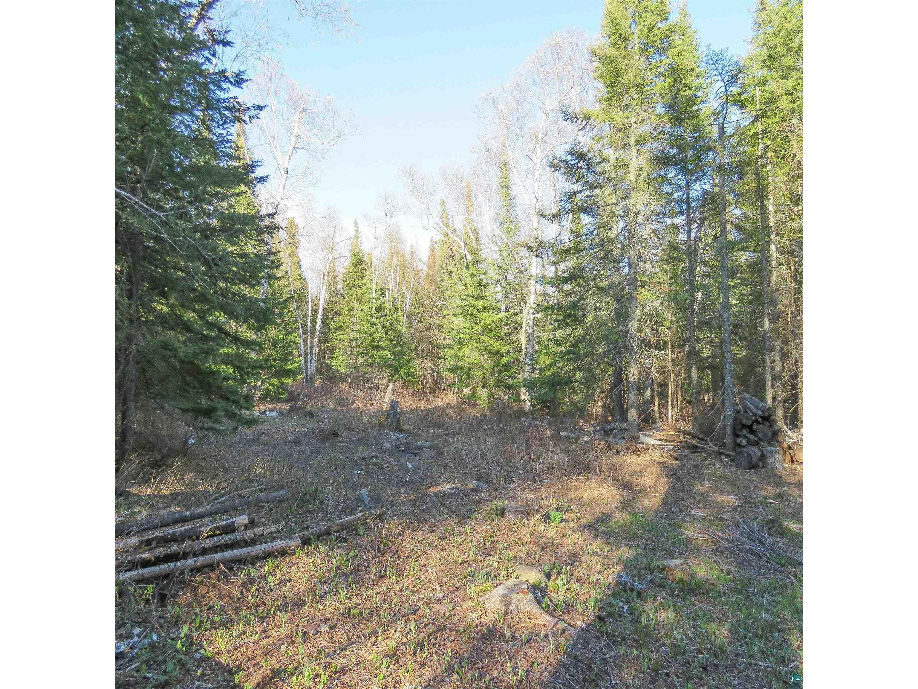 435 Cramer Rd Schroeder MN 55614 6125444 image14