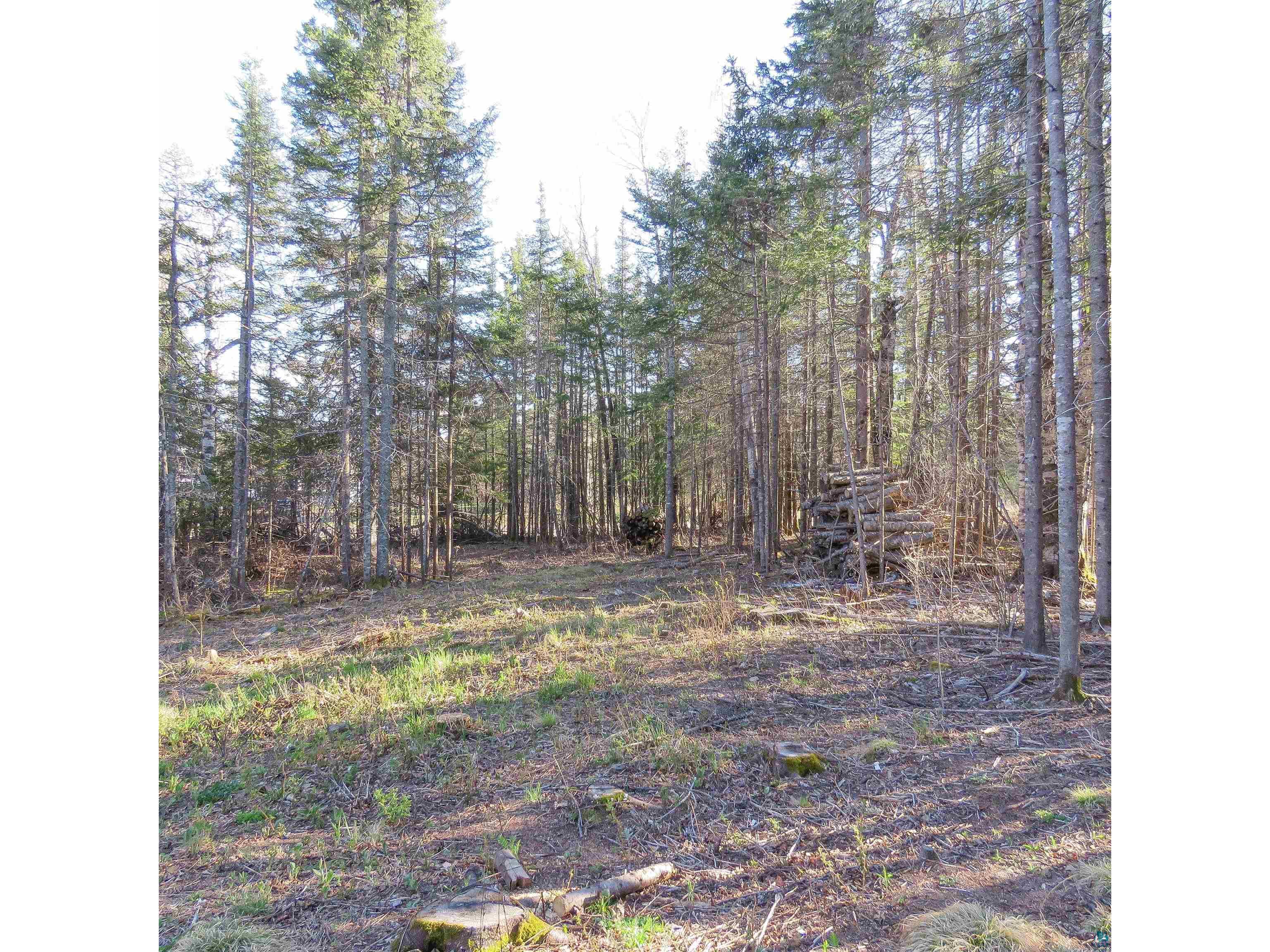435 Cramer Rd Schroeder MN 55614 6125444 image15