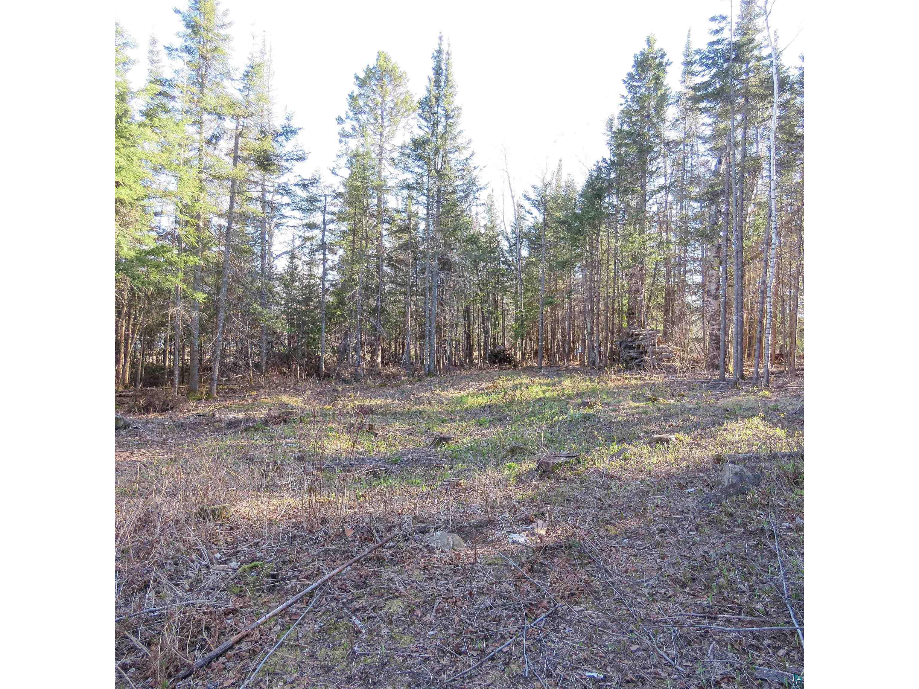 435 Cramer Rd Schroeder MN 55614 6125444 image16