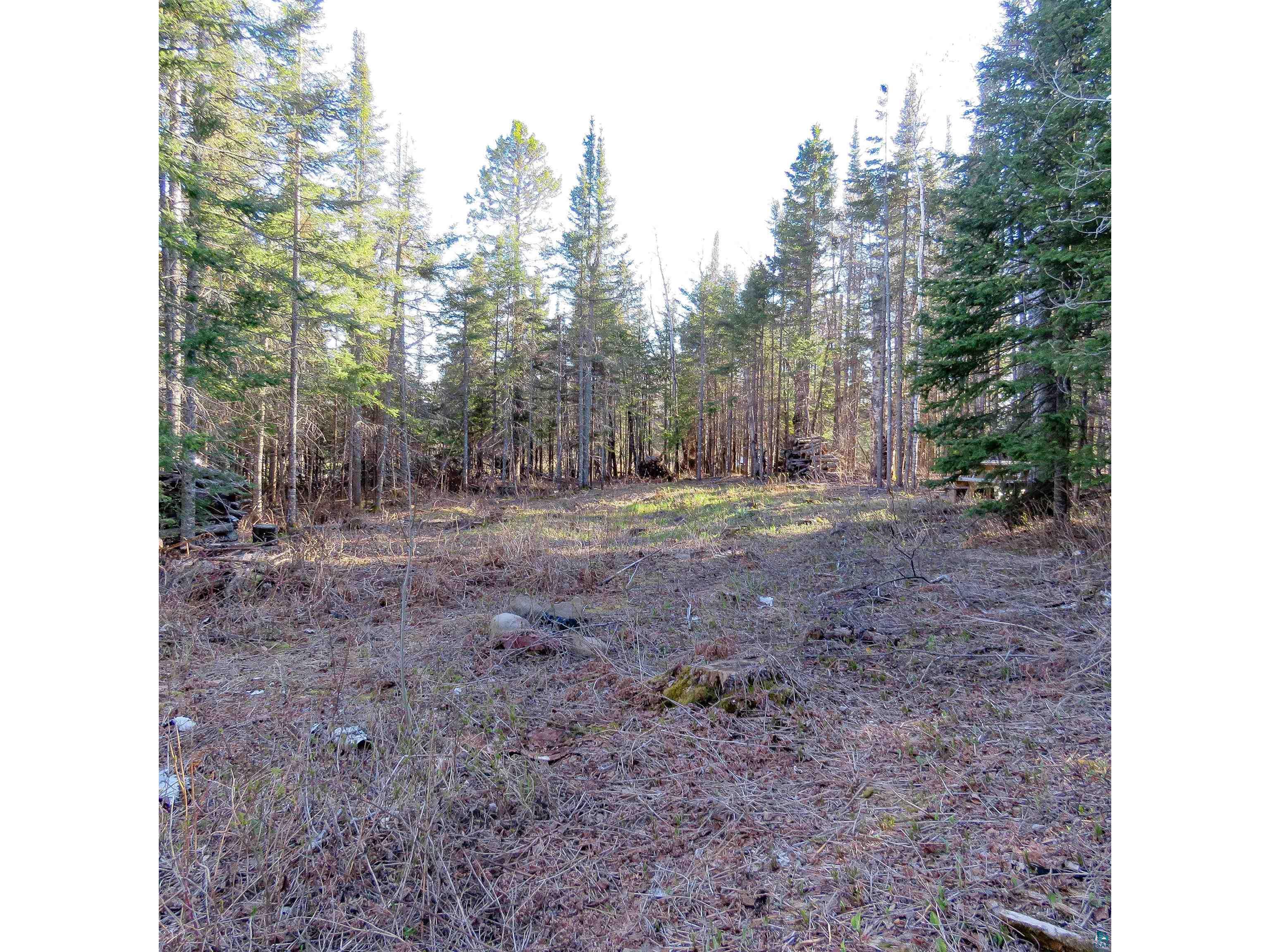 435 Cramer Rd Schroeder MN 55614 6125444 image17