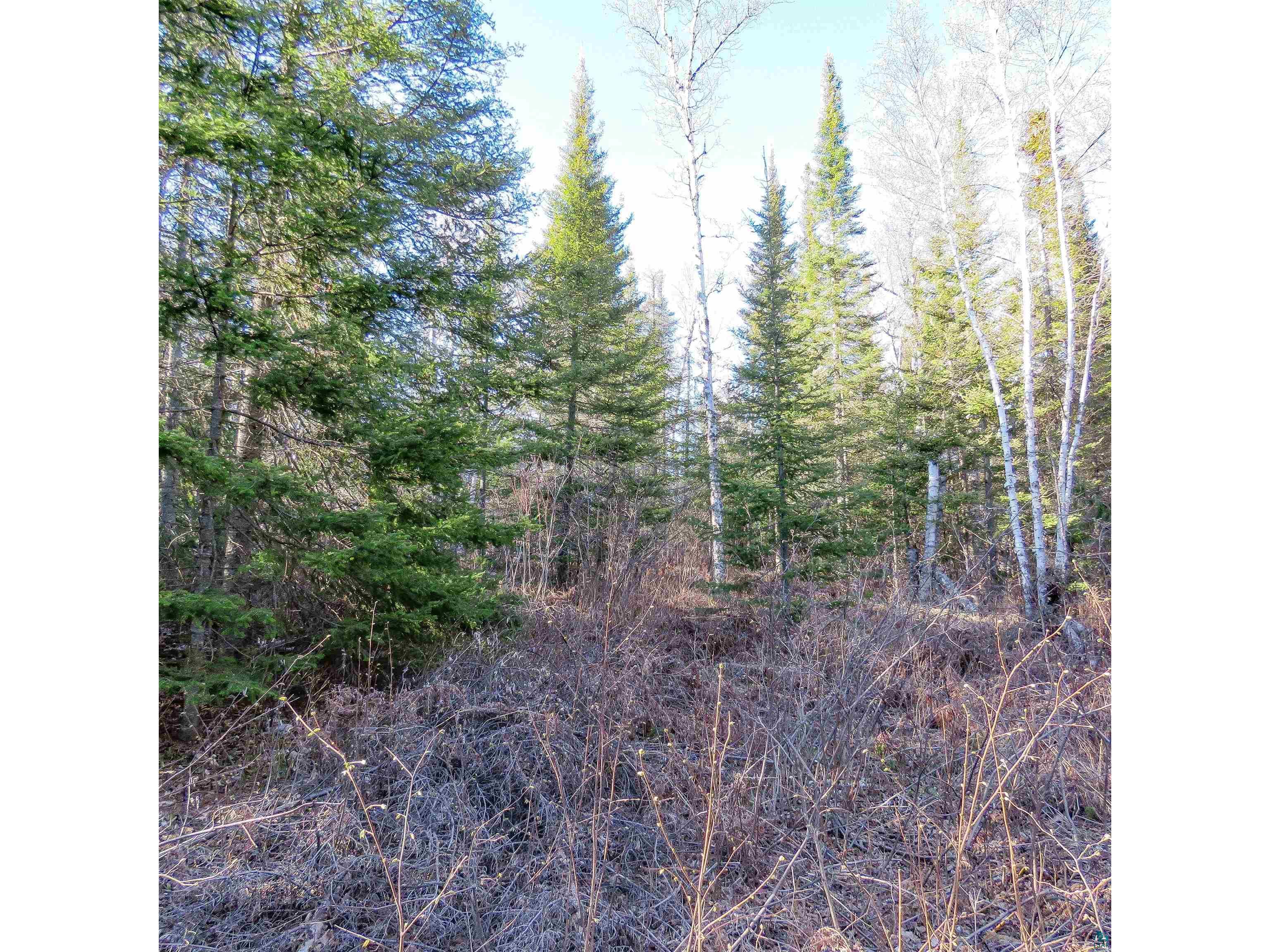 435 Cramer Rd Schroeder MN 55614 6125444 image18