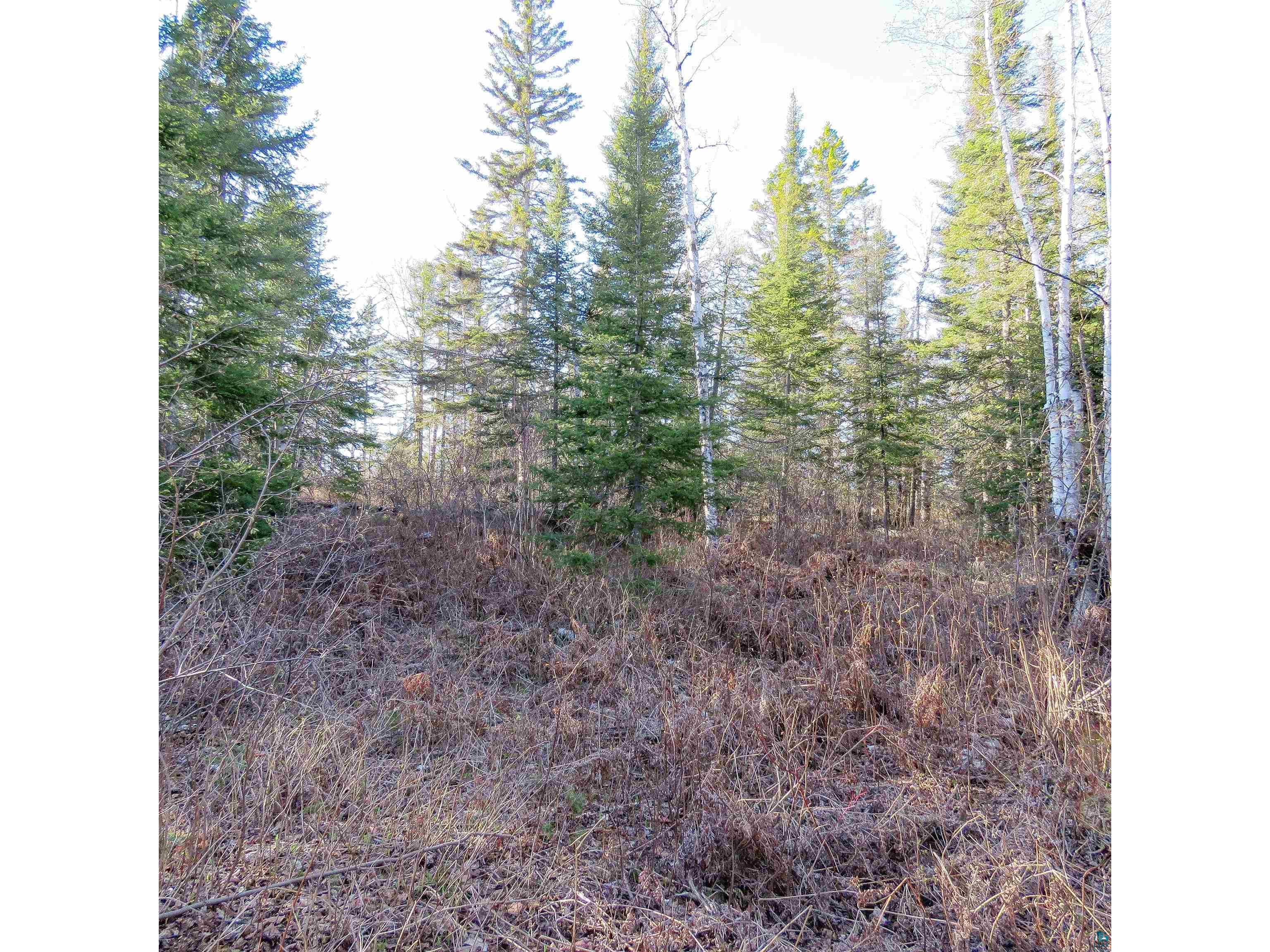 435 Cramer Rd Schroeder MN 55614 6125444 image19