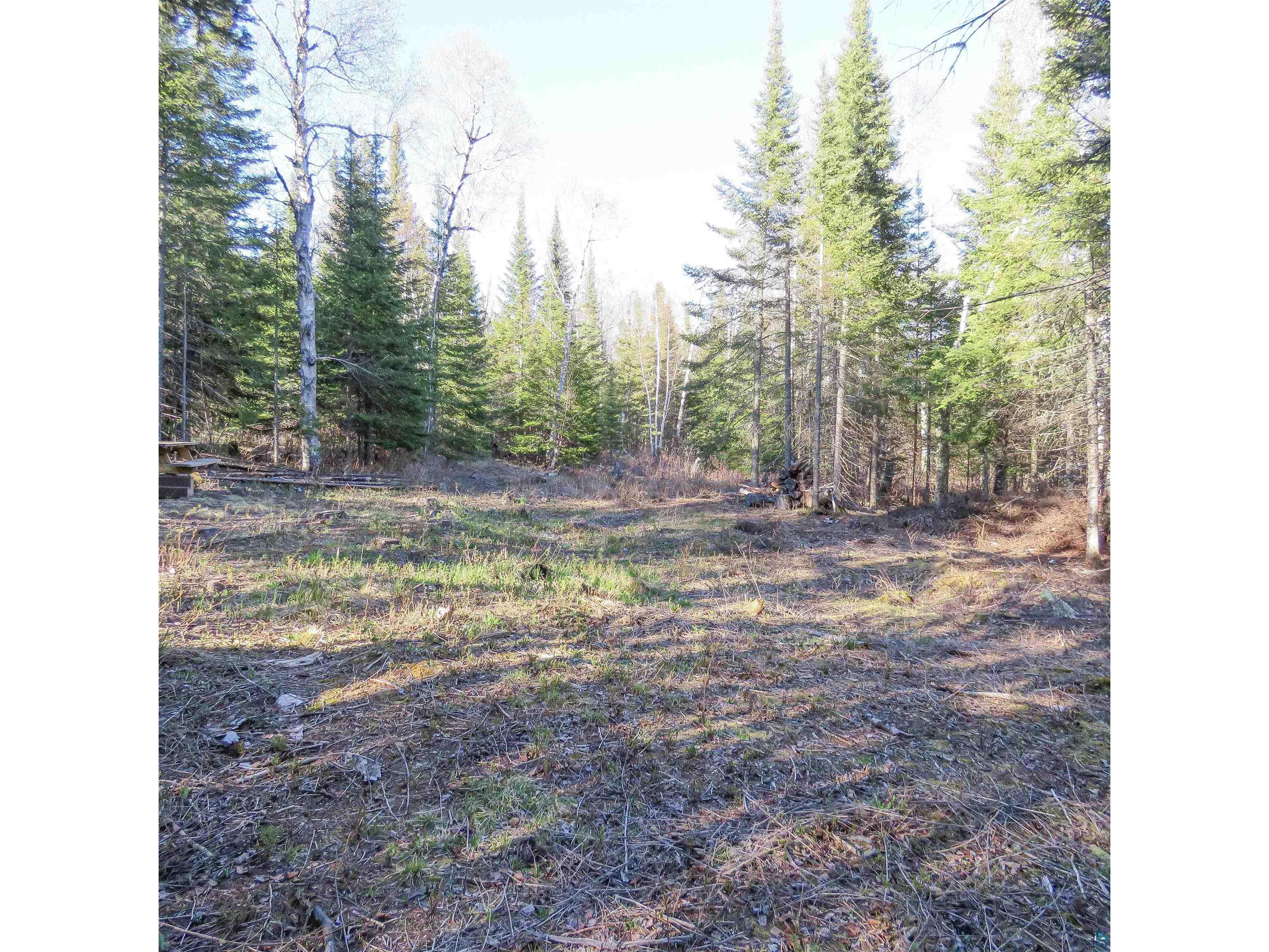 435 Cramer Rd Schroeder MN 55614 6125444 image2