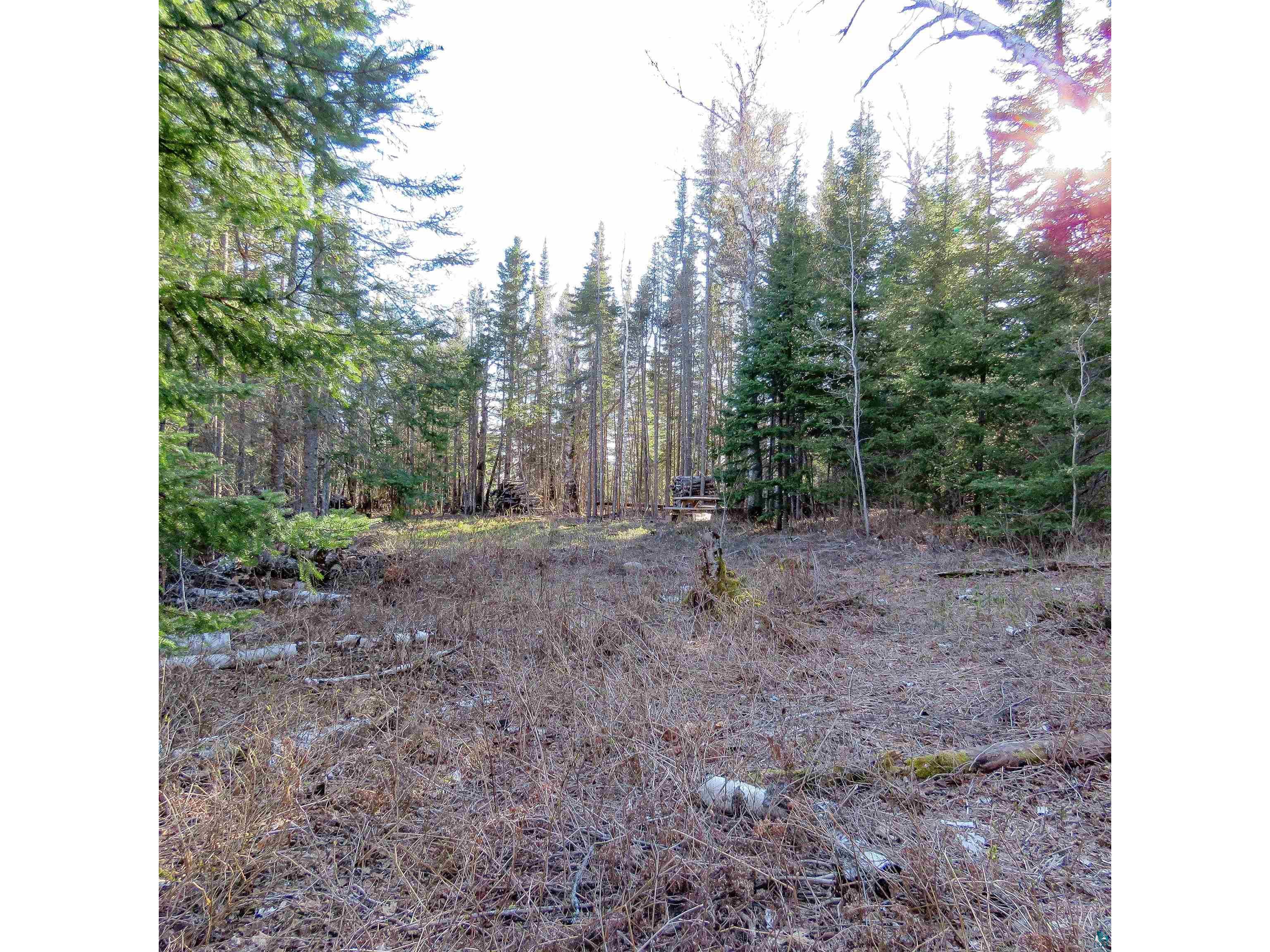 435 Cramer Rd Schroeder MN 55614 6125444 image20